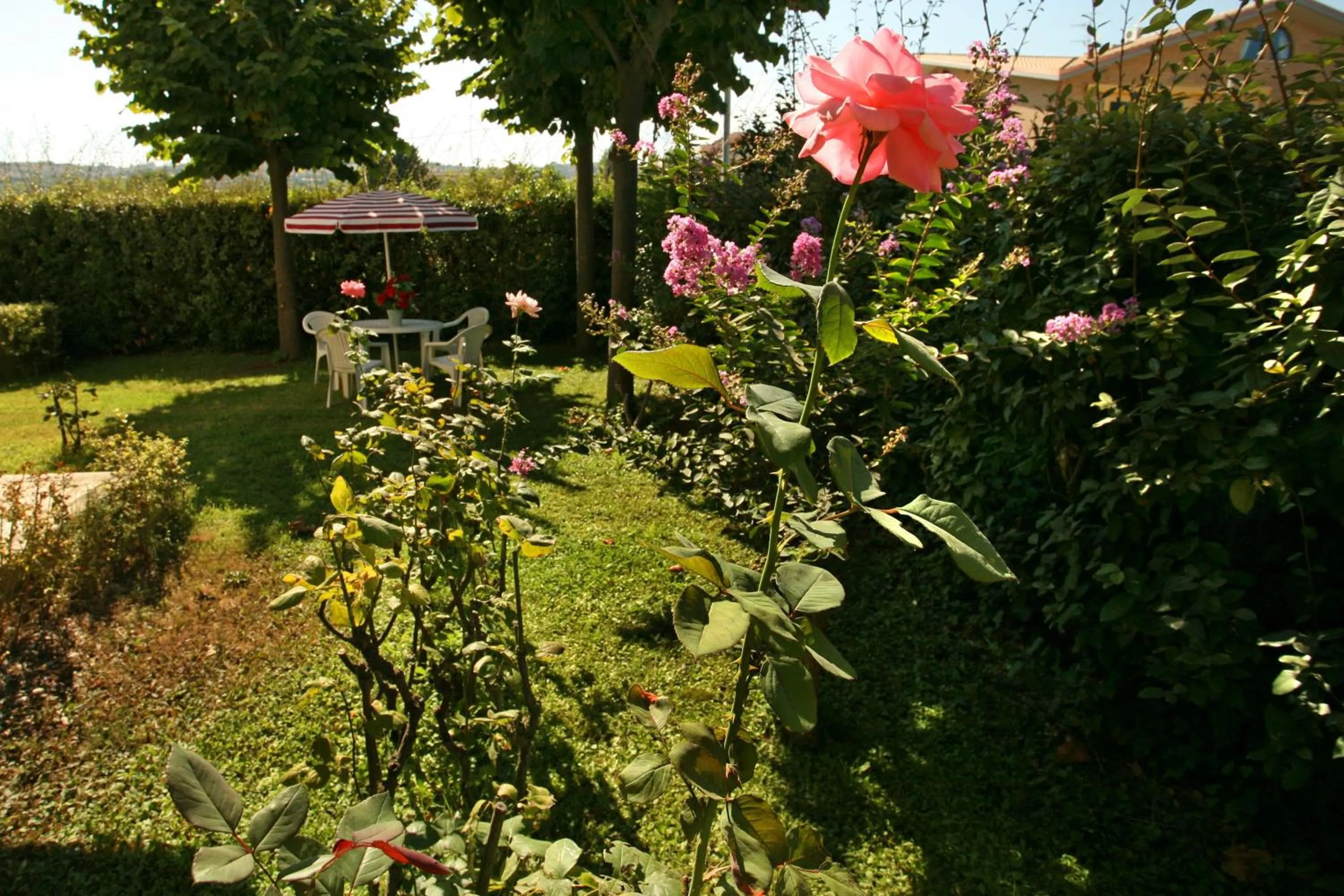 Garden in B&B Il Parco Dei Pini