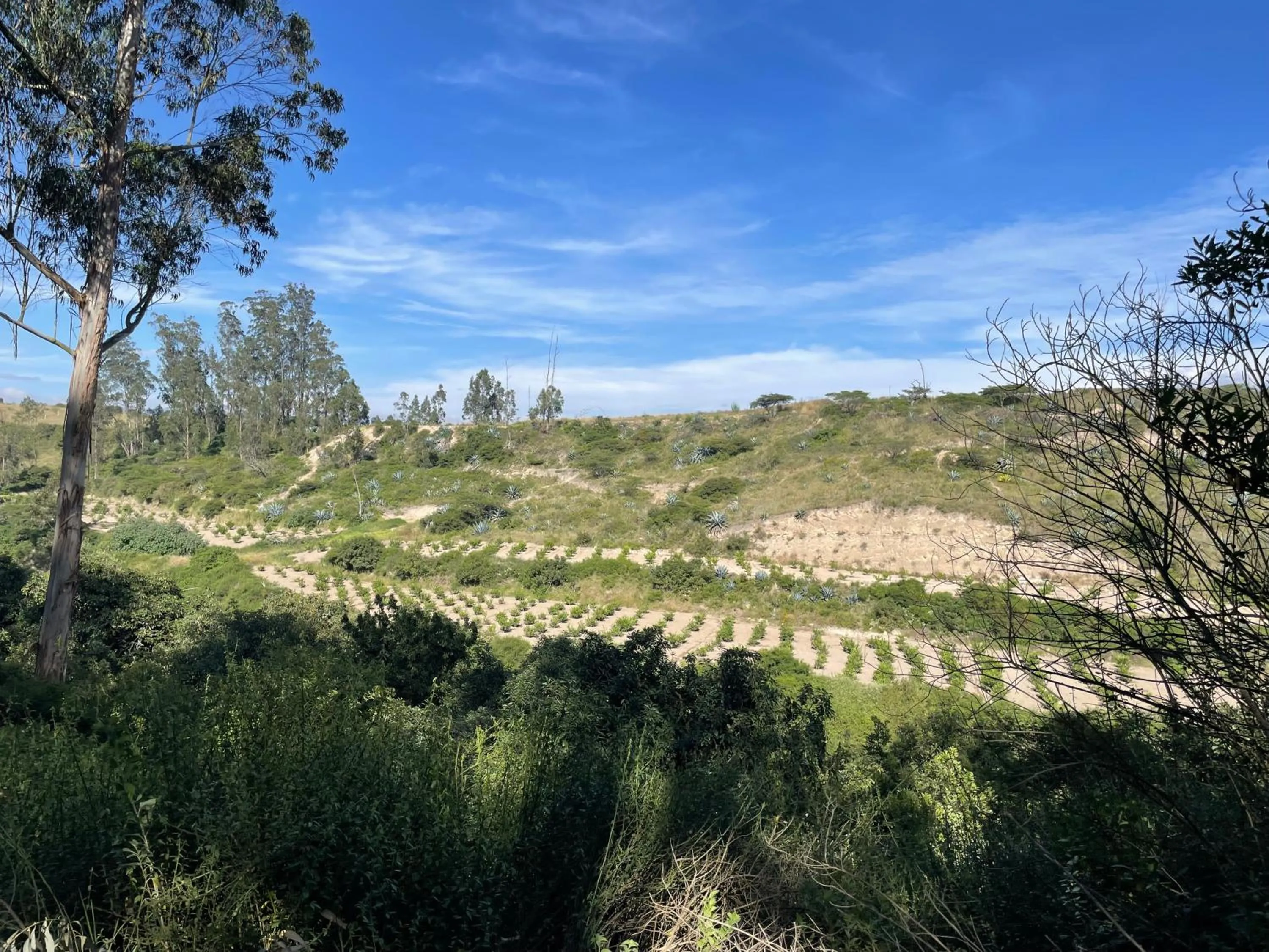 Quito Airport Suites Hotel