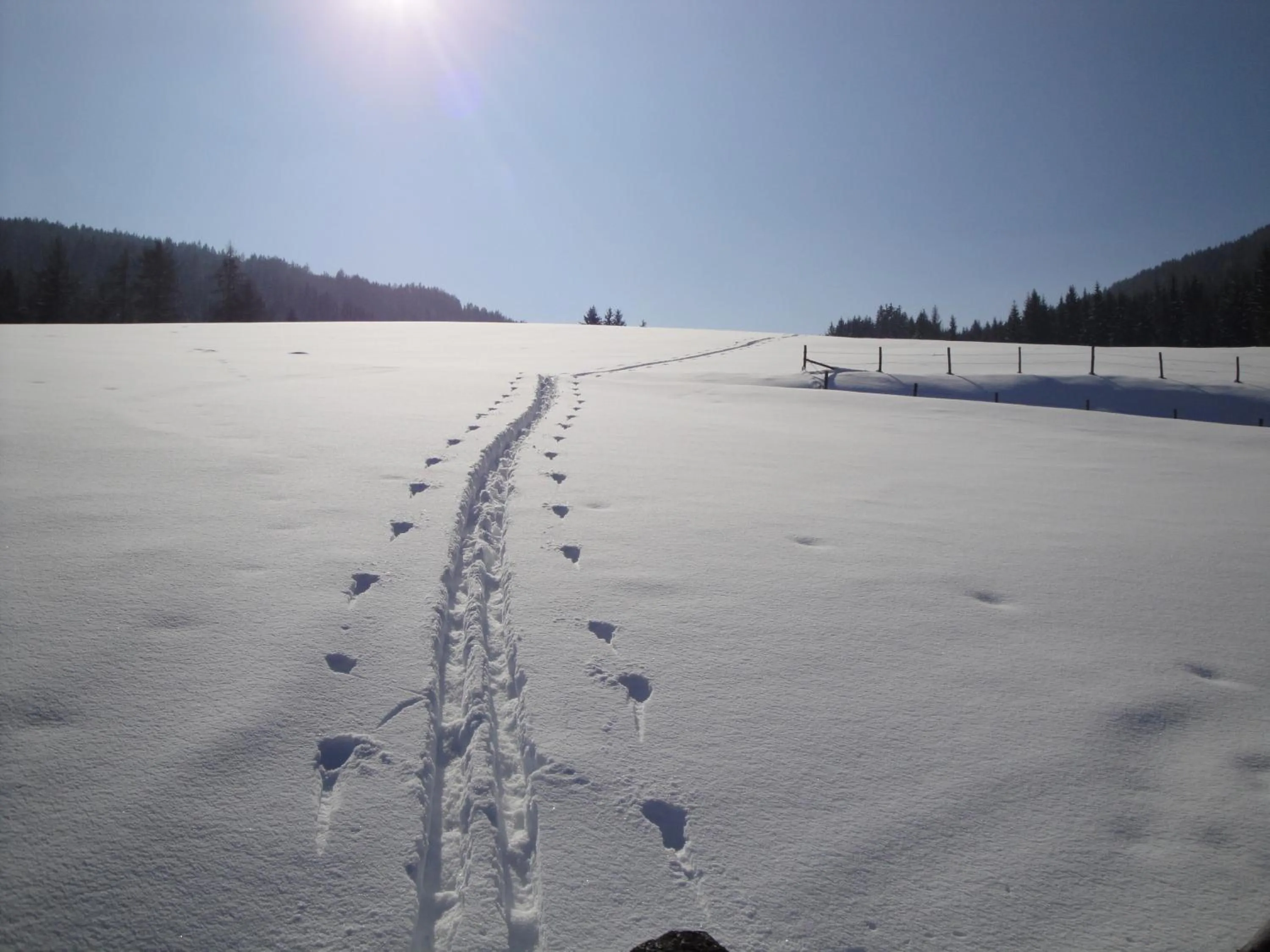 Off site in Hotel Pension Schwaiger