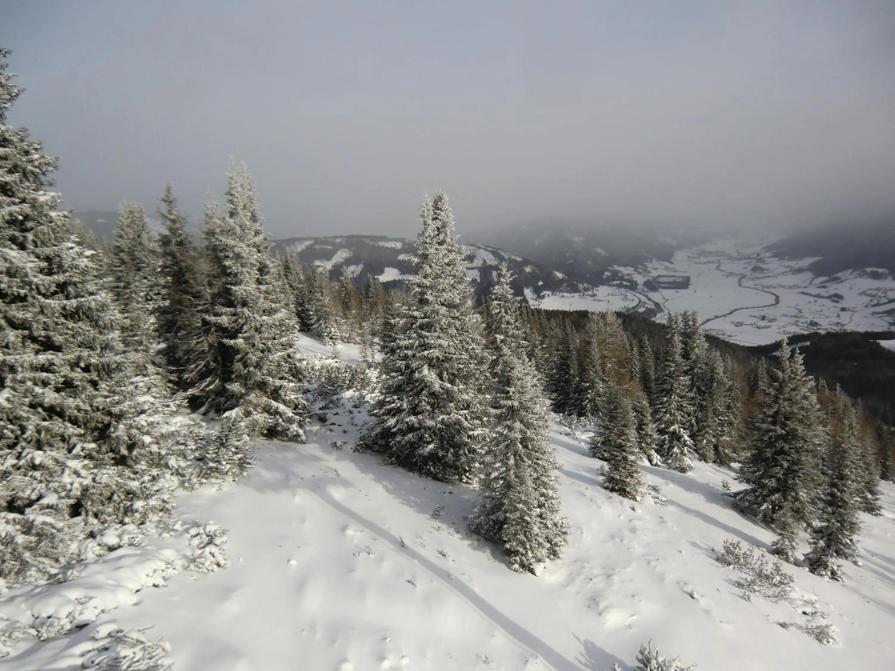 Natural landscape in Hotel Pension Schwaiger