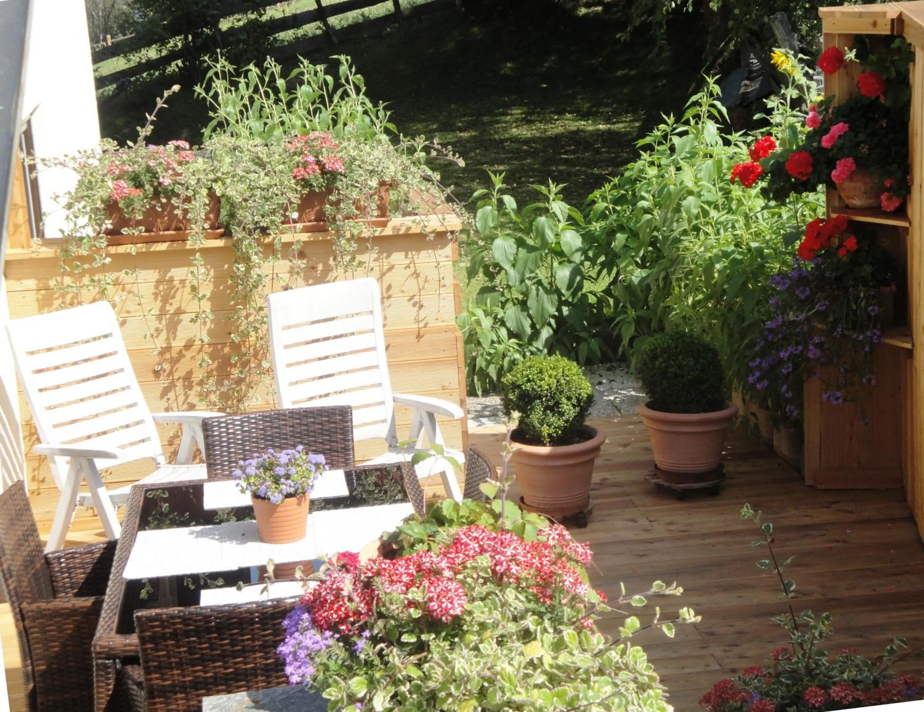 Garden in Hotel Pension Schwaiger