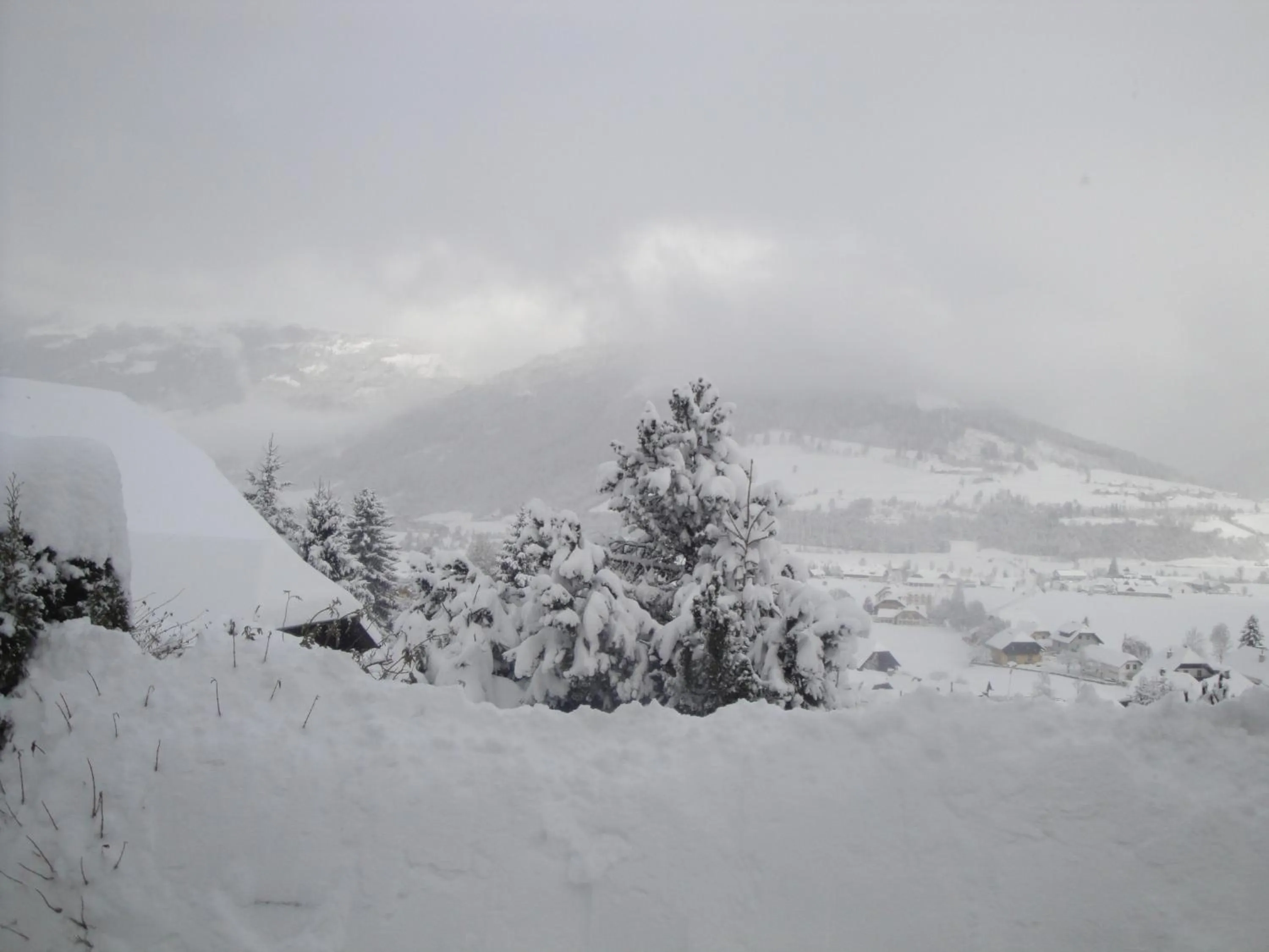 Natural landscape in Hotel Pension Schwaiger