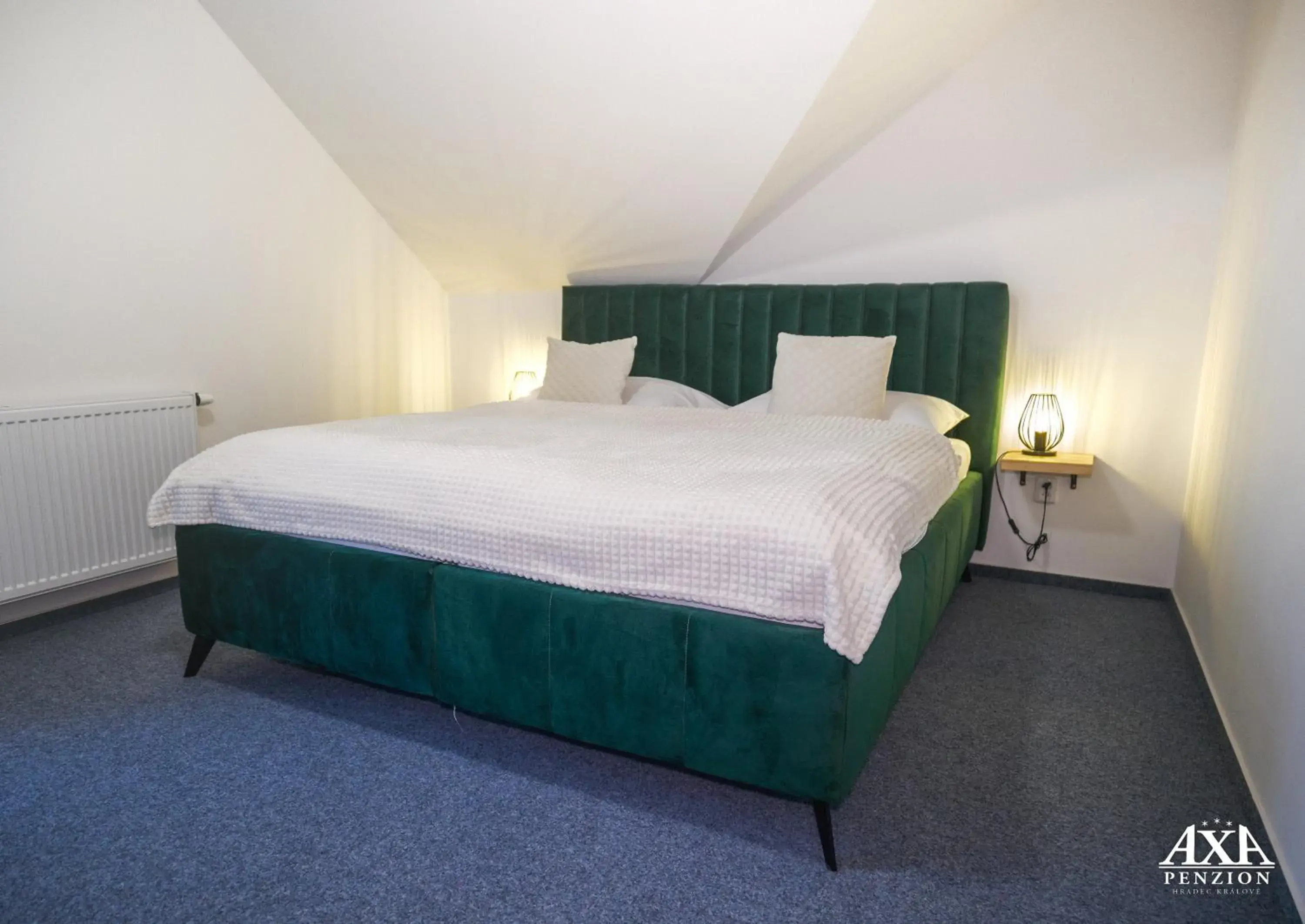 Double Room in Penzion Axa Double Room in Penzion Axa
