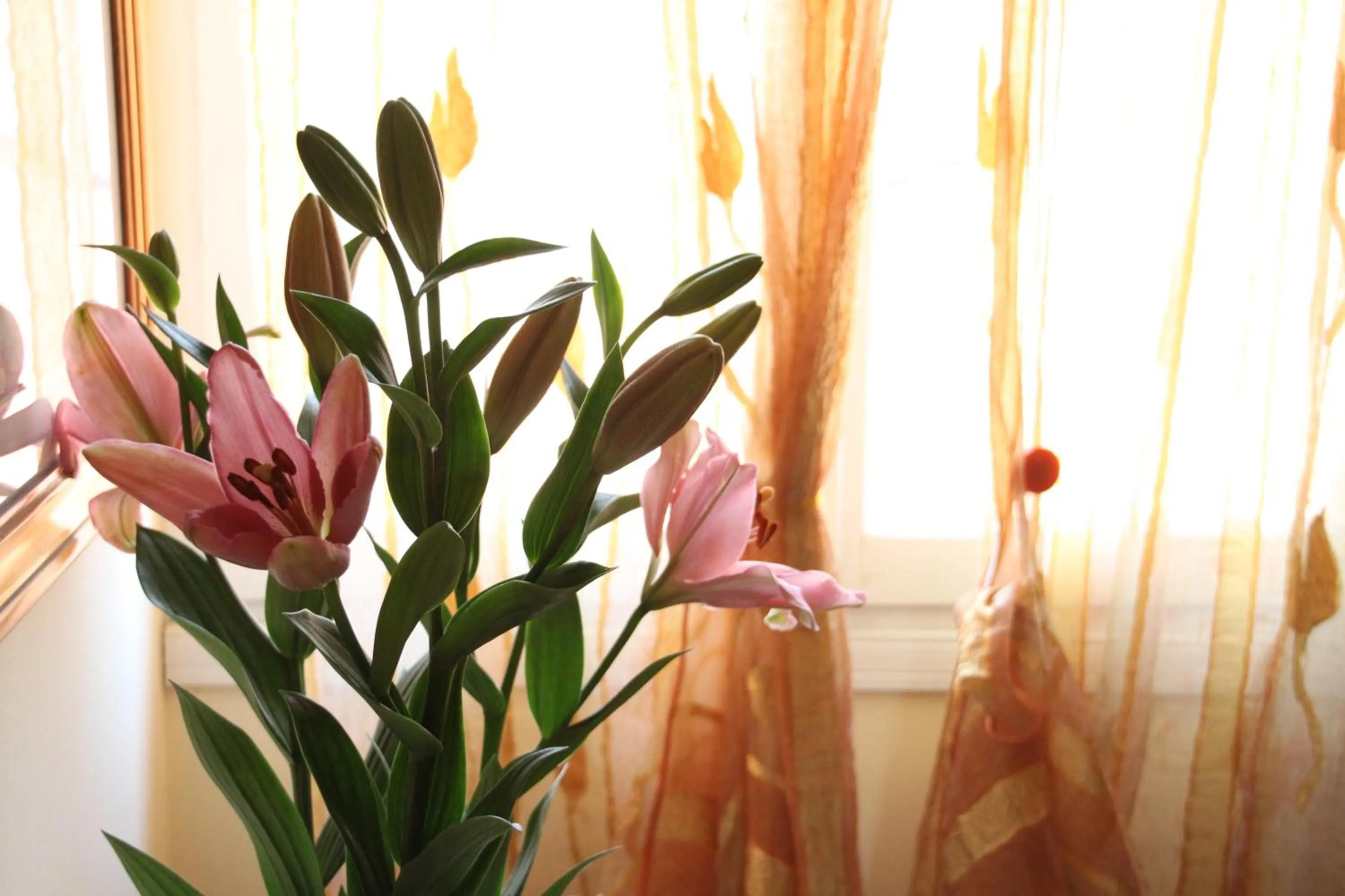 Decorative detail in Residence Al Bacareto