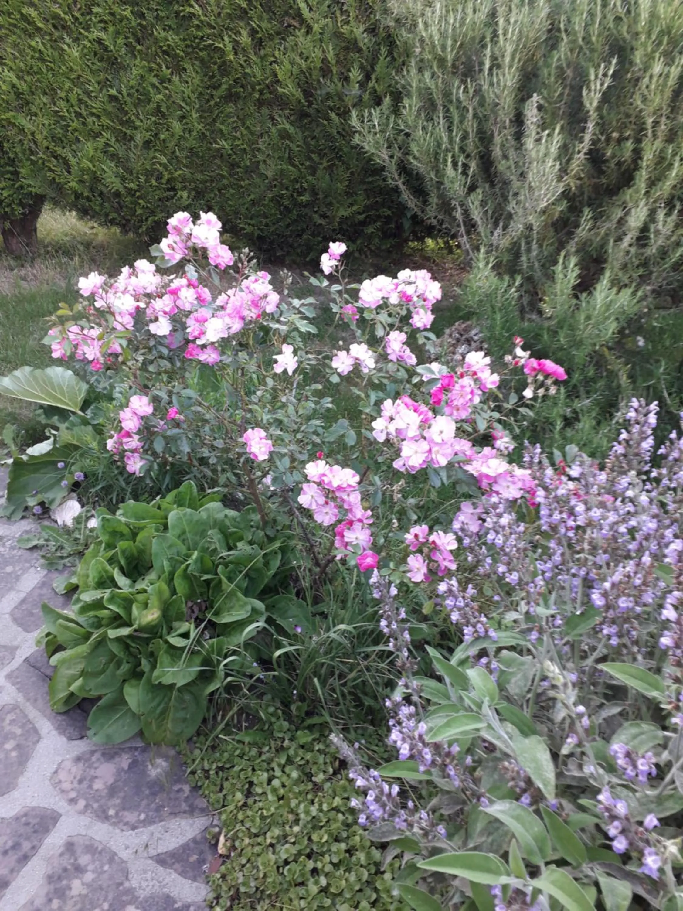 Chambre d'Hôtes - DOUCE NUI-THE