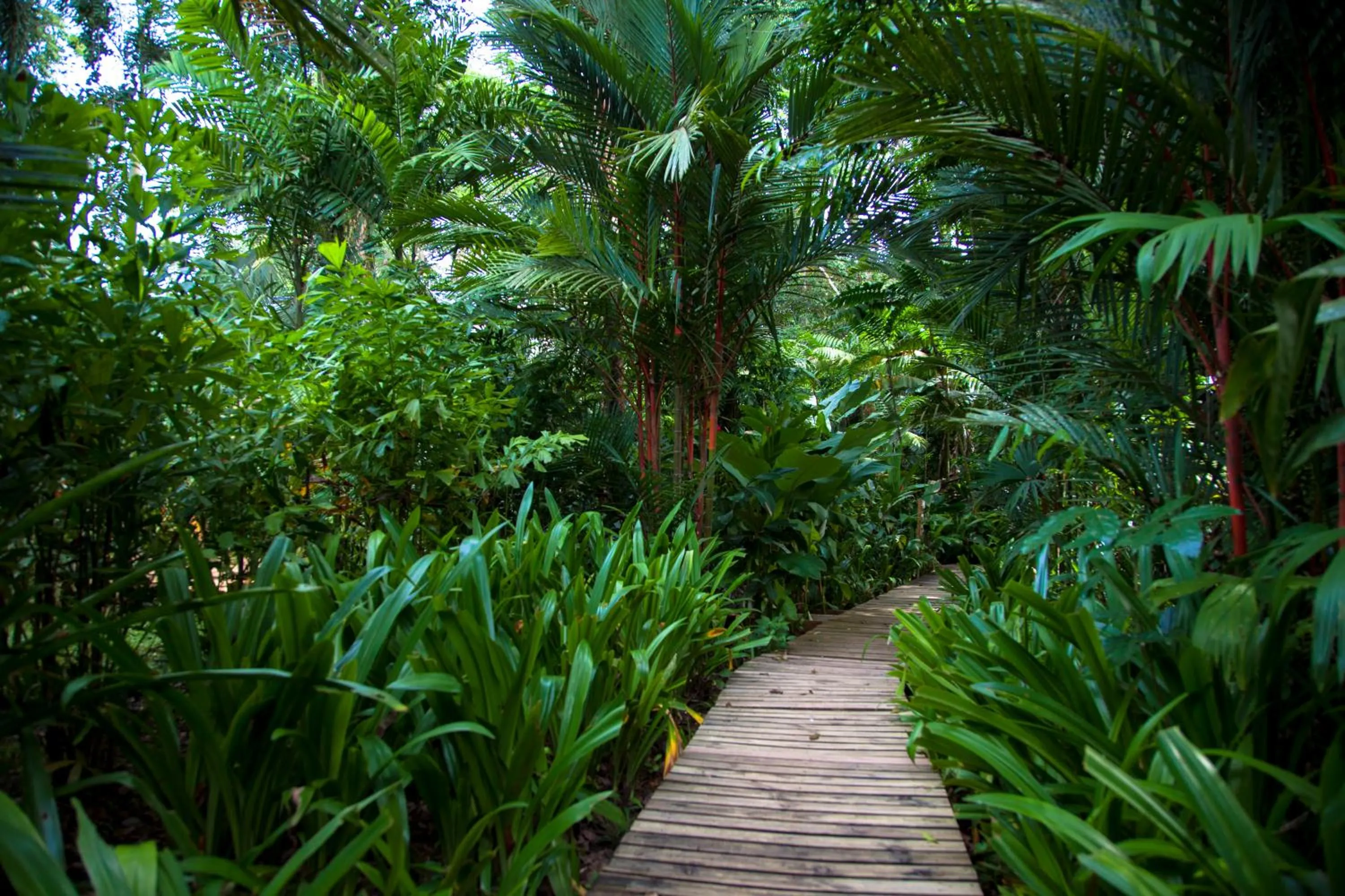 Day in Le Cameleon Hotel