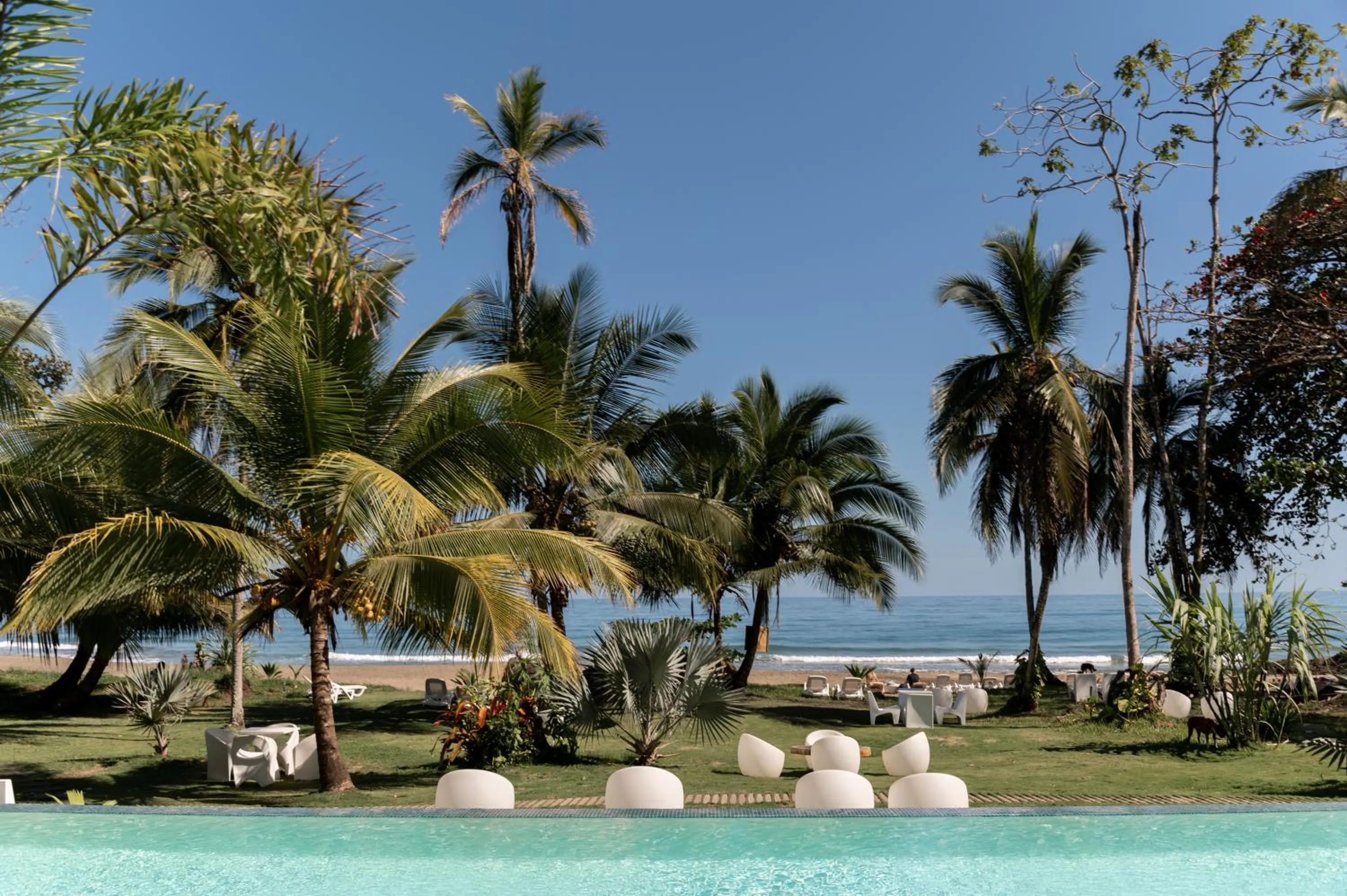 Day in Le Cameleon Hotel