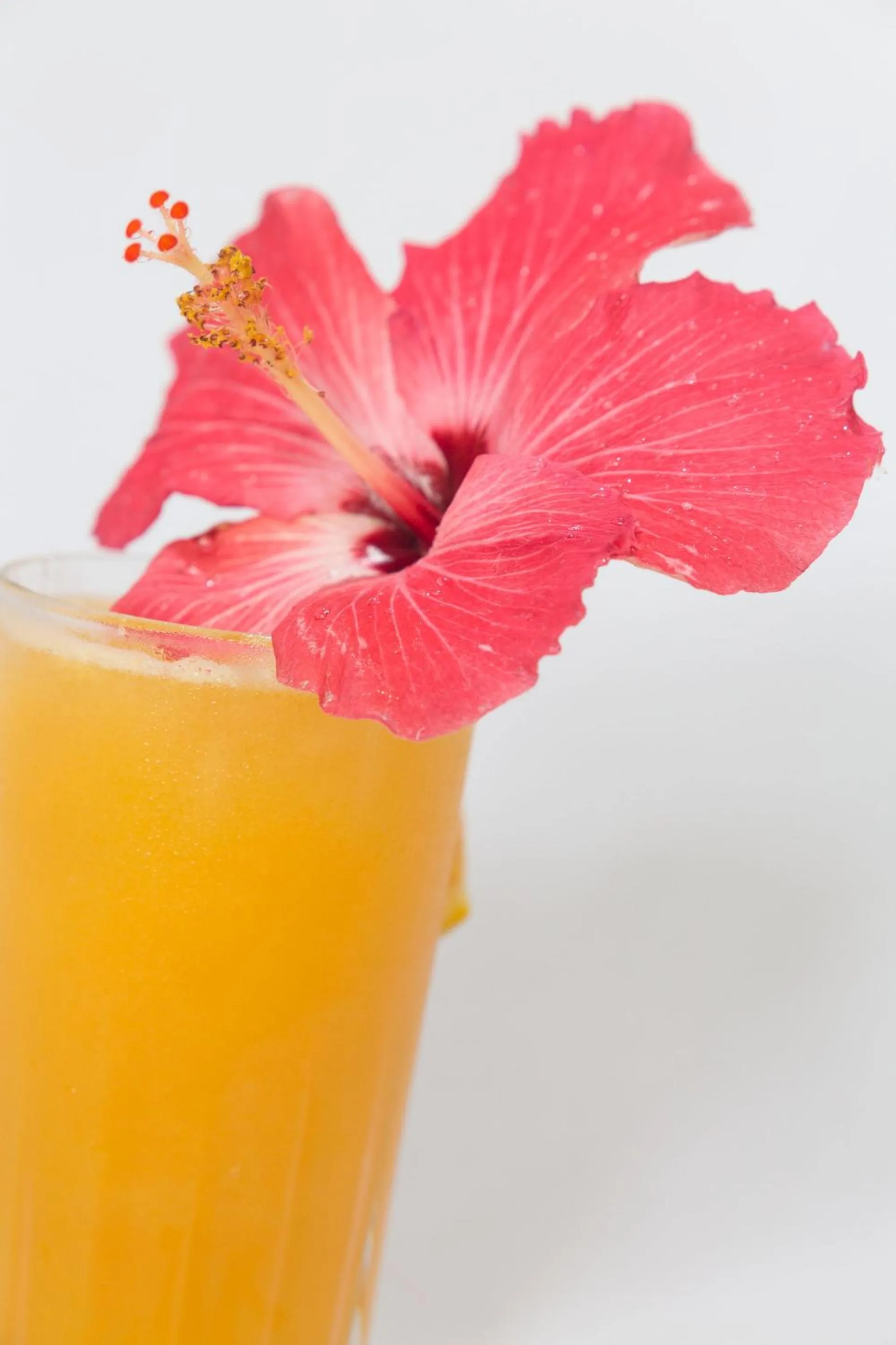 Non alcoholic drinks in Pousada Recanto dos Lima