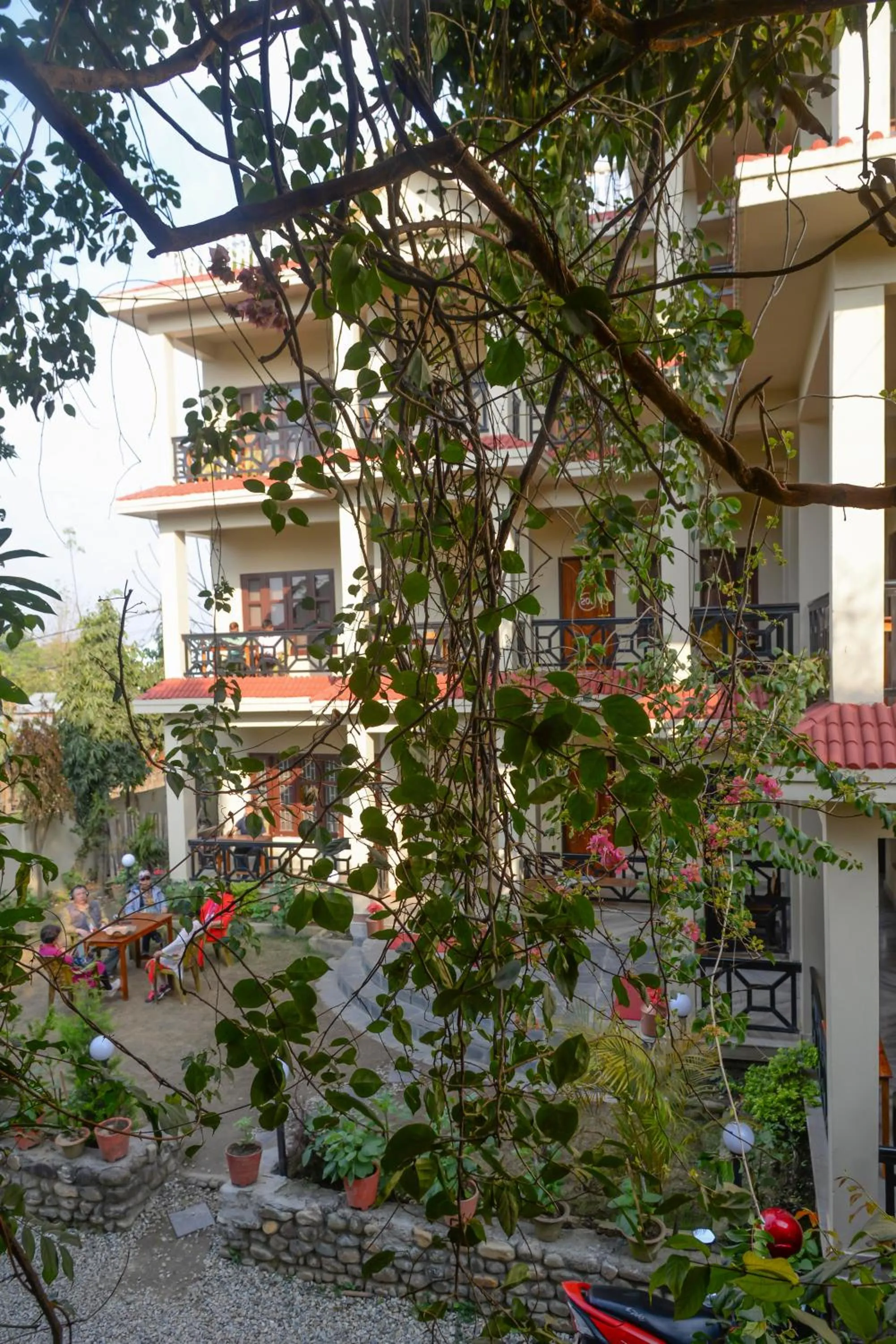 Property building in Hotel Chitwan Park Village