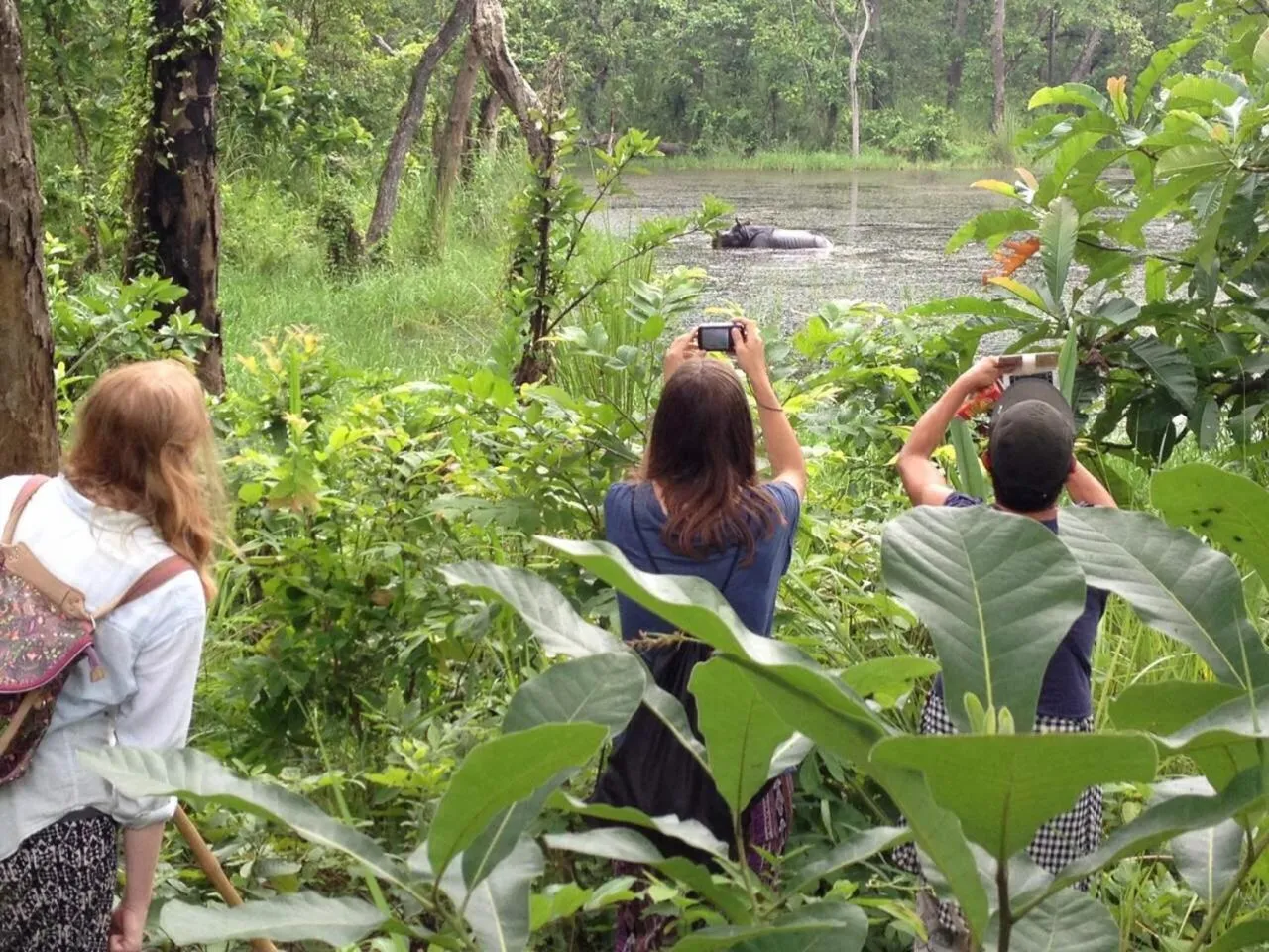 Activities in Hotel Chitwan Park Village