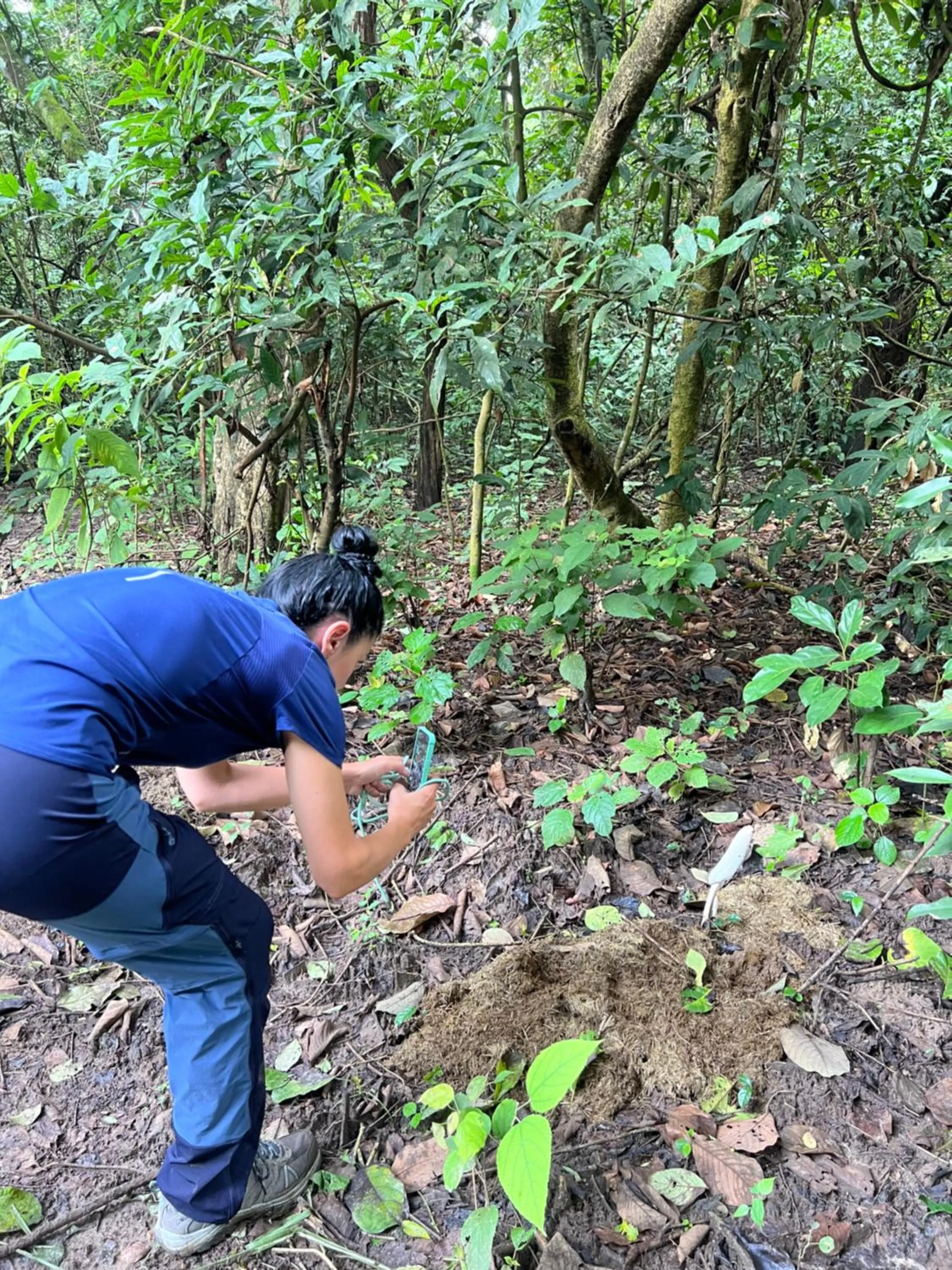 Day in Hotel Chitwan Park Village