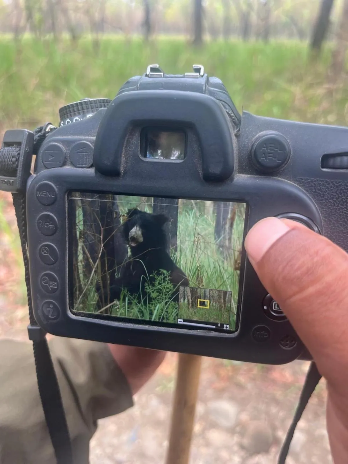 Natural landscape in Hotel Chitwan Park Village