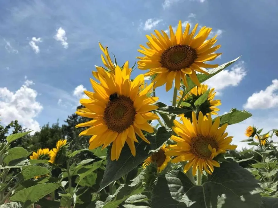 Property building in B & B Villa Lucia