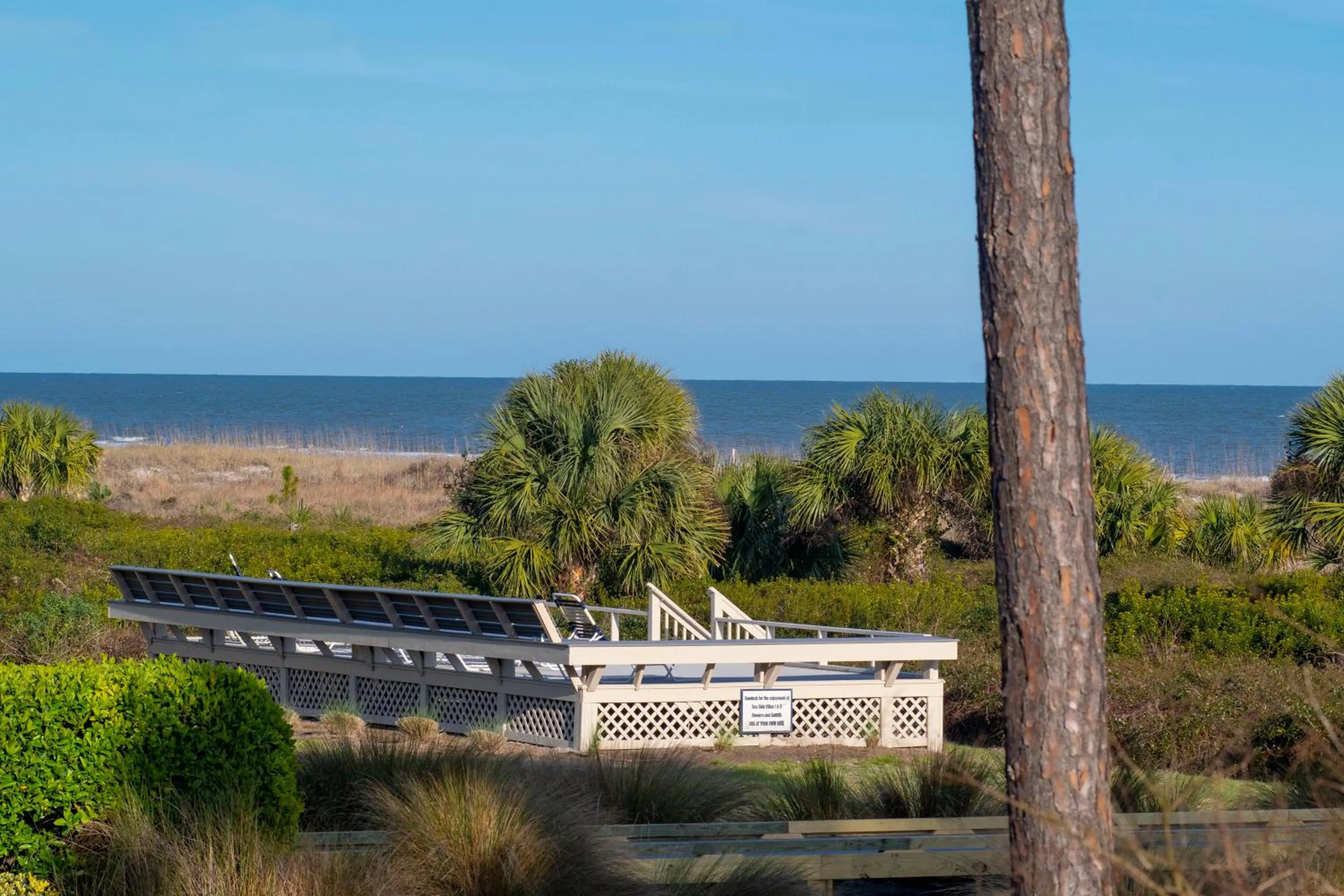 Natural landscape in Million Dollar Oceanfront View