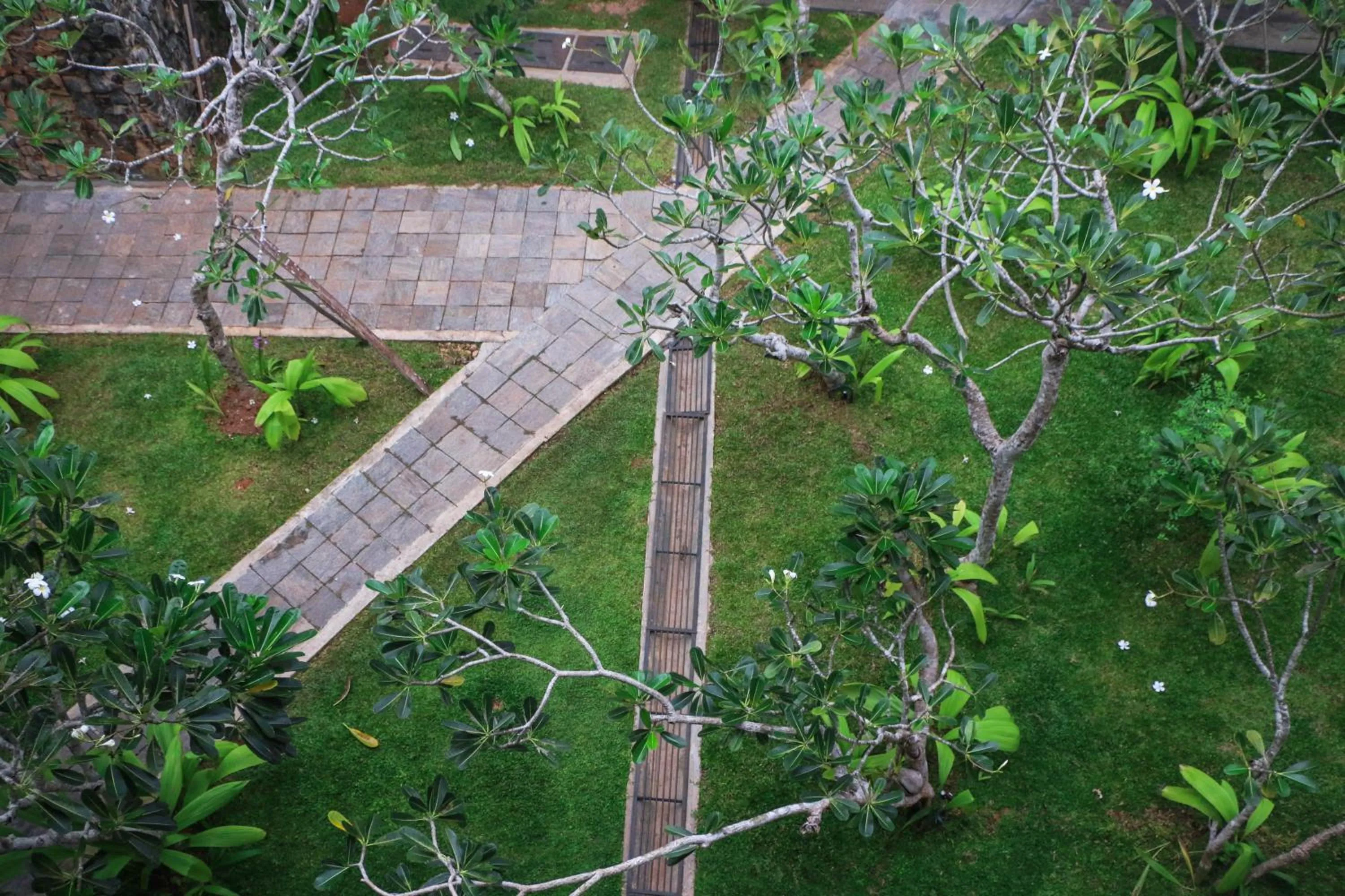Garden view in The Heritage Hotel Galle Fort