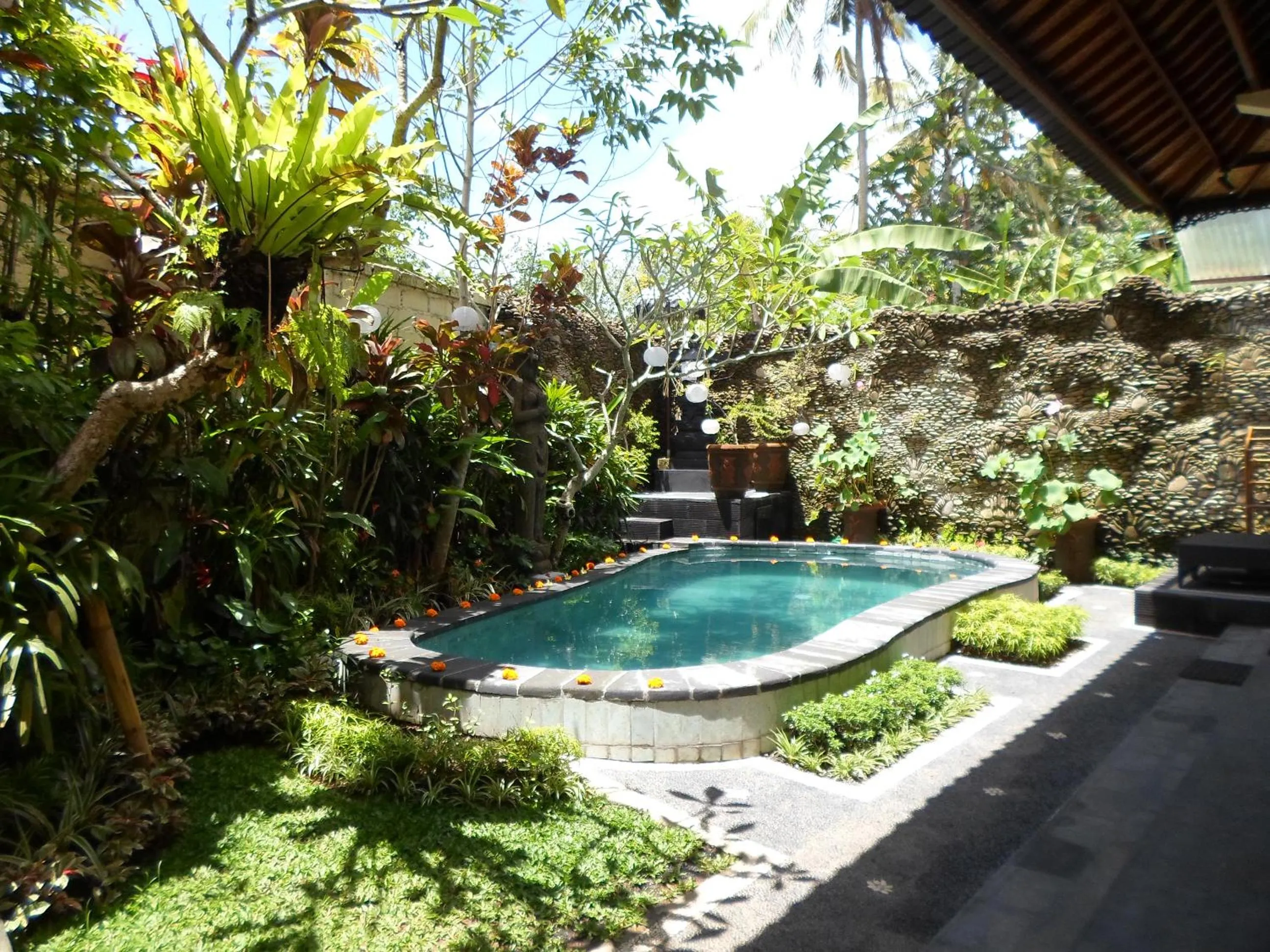 Swimming pool in Lily Lane Villas