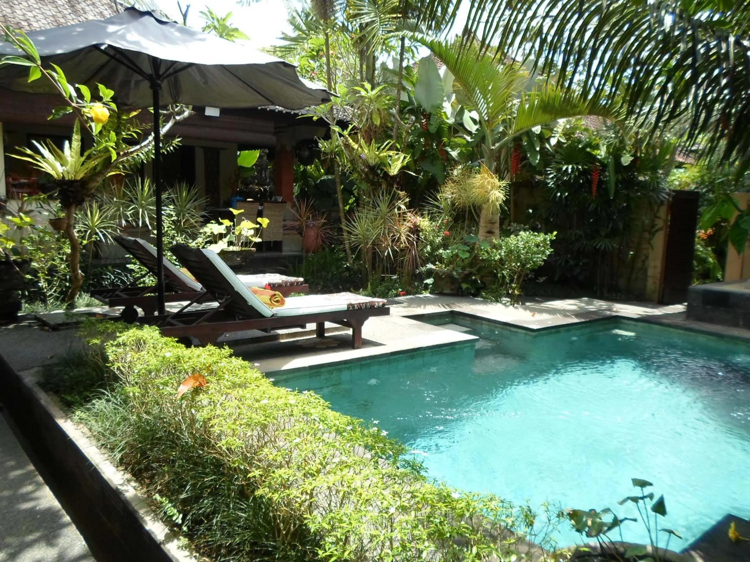Swimming pool in Lily Lane Villas
