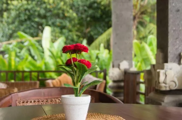 Patio in Lily Lane Villas