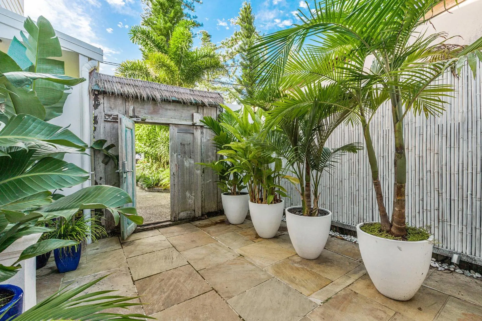 Garden view in Azur Byron Bay