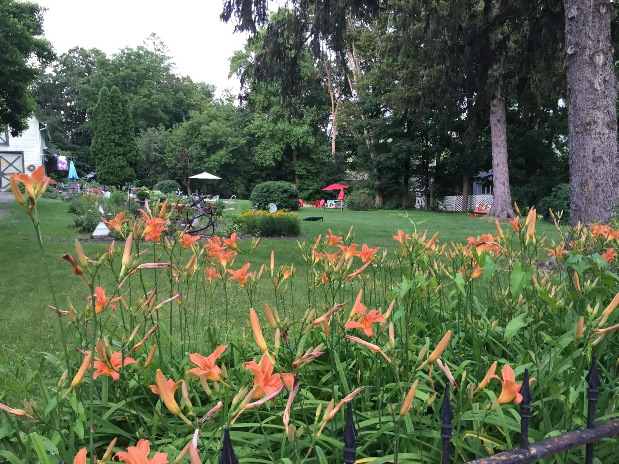 Natural landscape in 18 Vine Inn & Carriage House