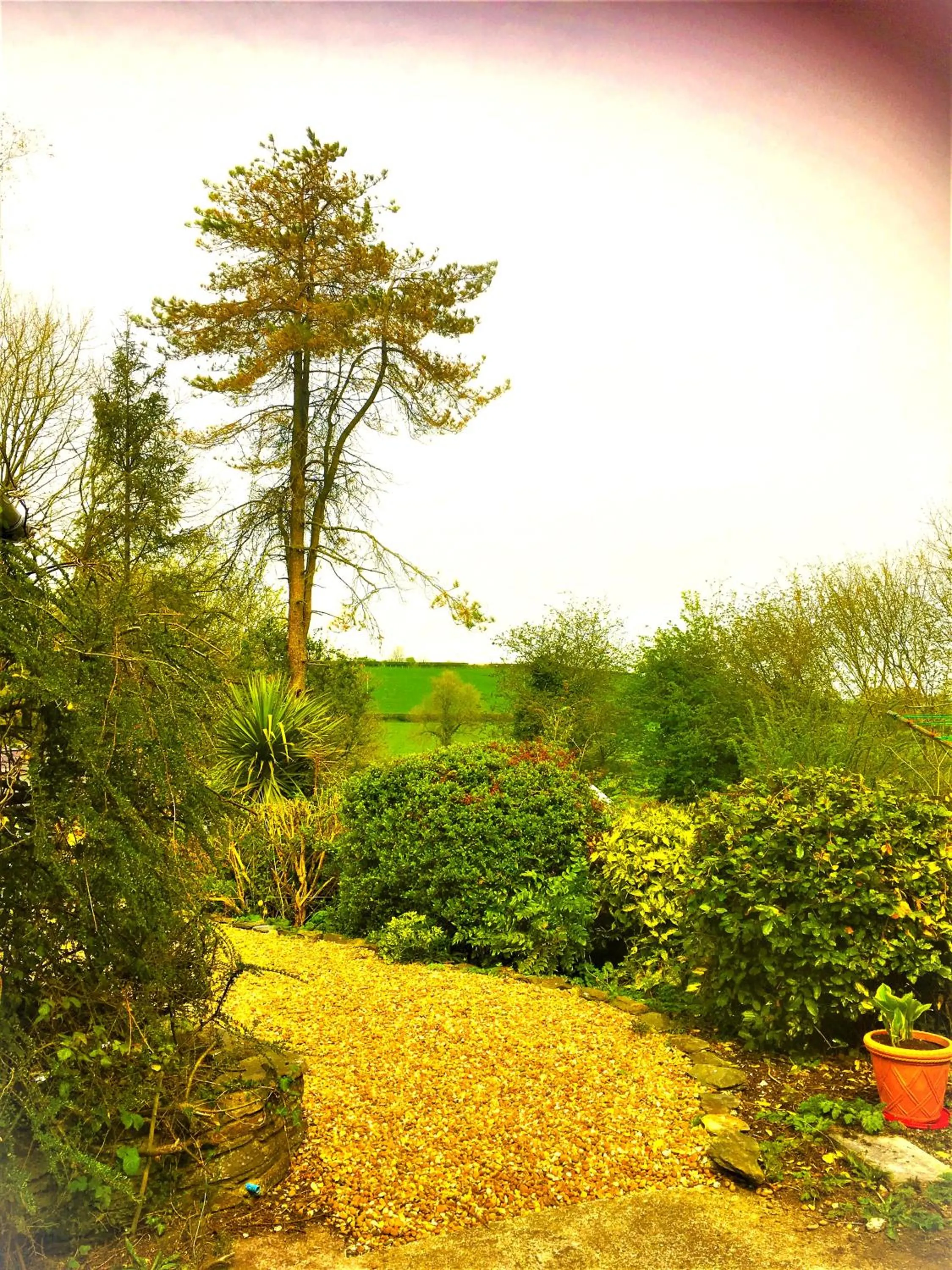 Heddfan (Place of Peace)