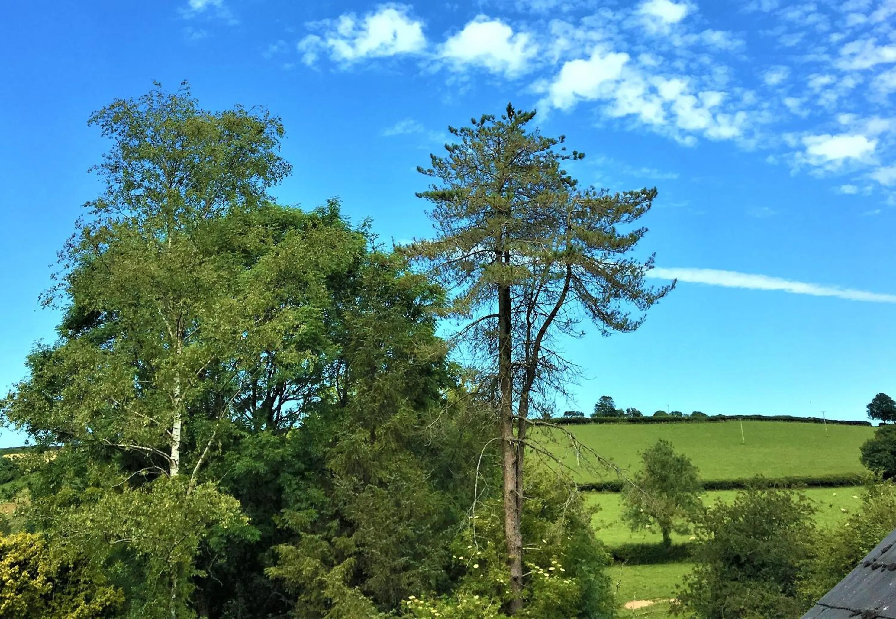 Heddfan (Place of Peace)