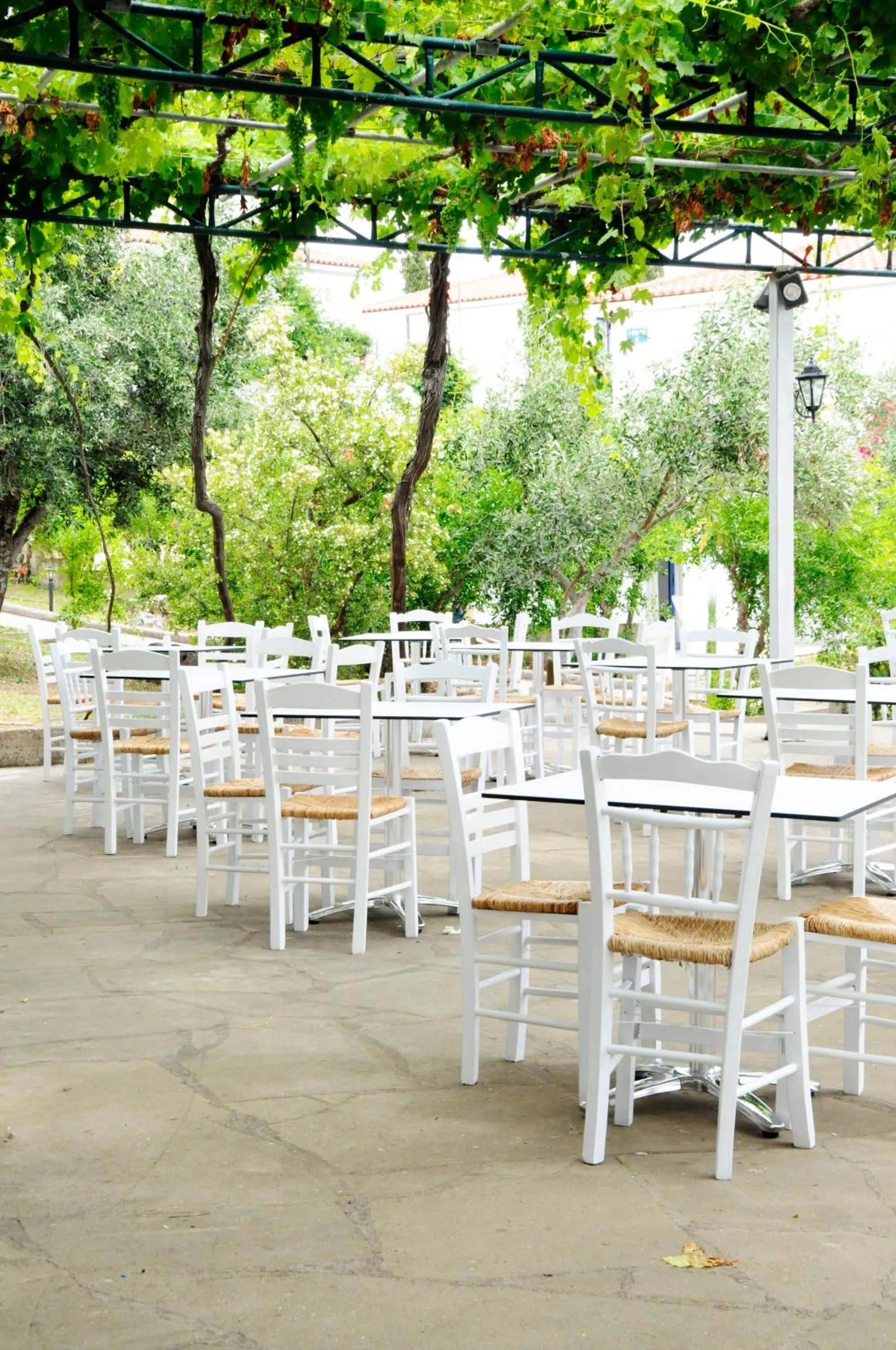 Restaurant/places to eat in Sunrise Village Beach Hotel