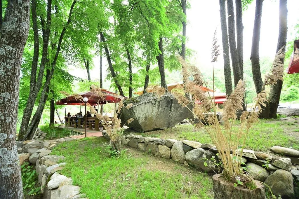 Restaurant/places to eat in Hotel Valdis