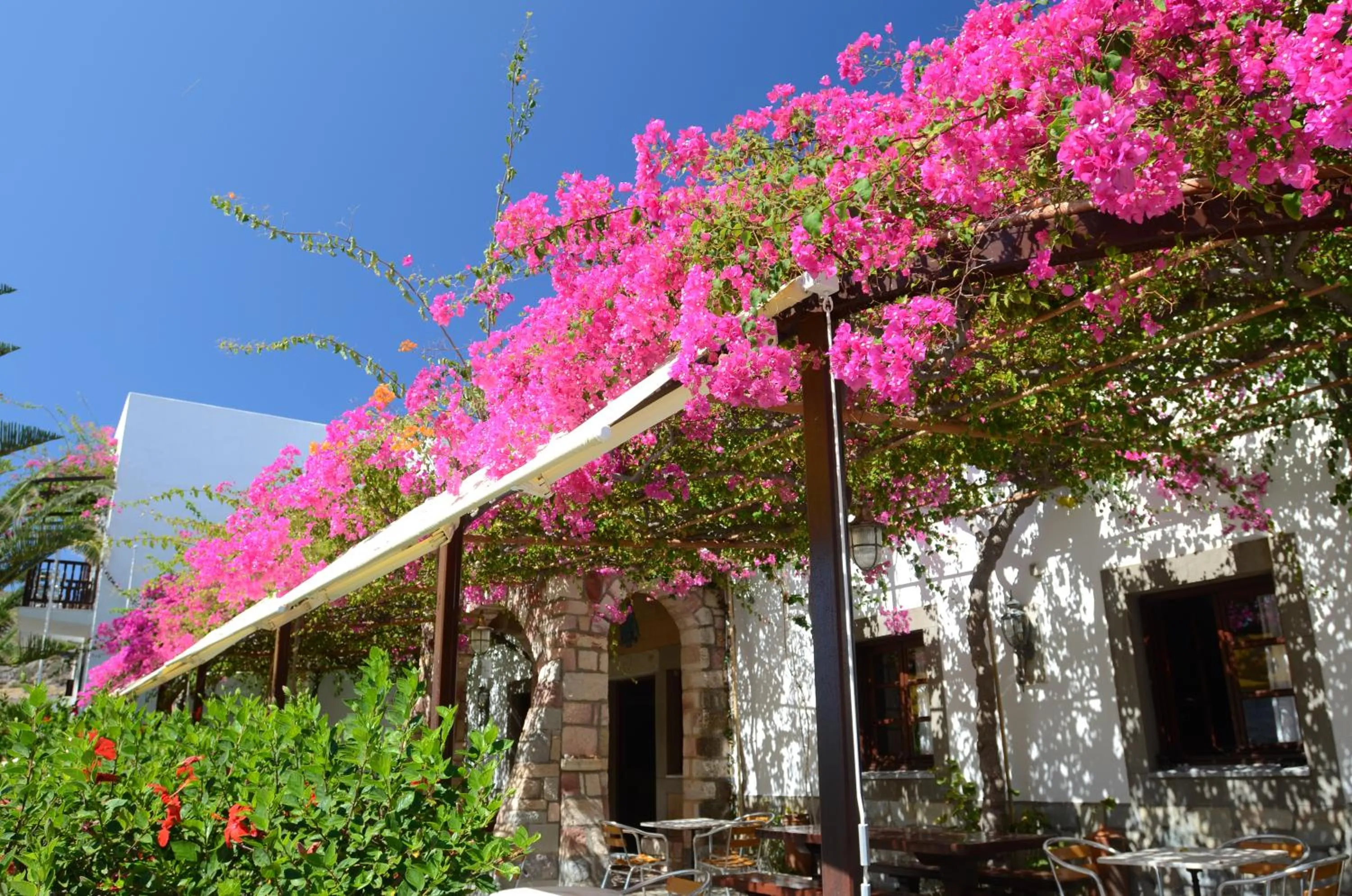 Garden in Asteri Hotel