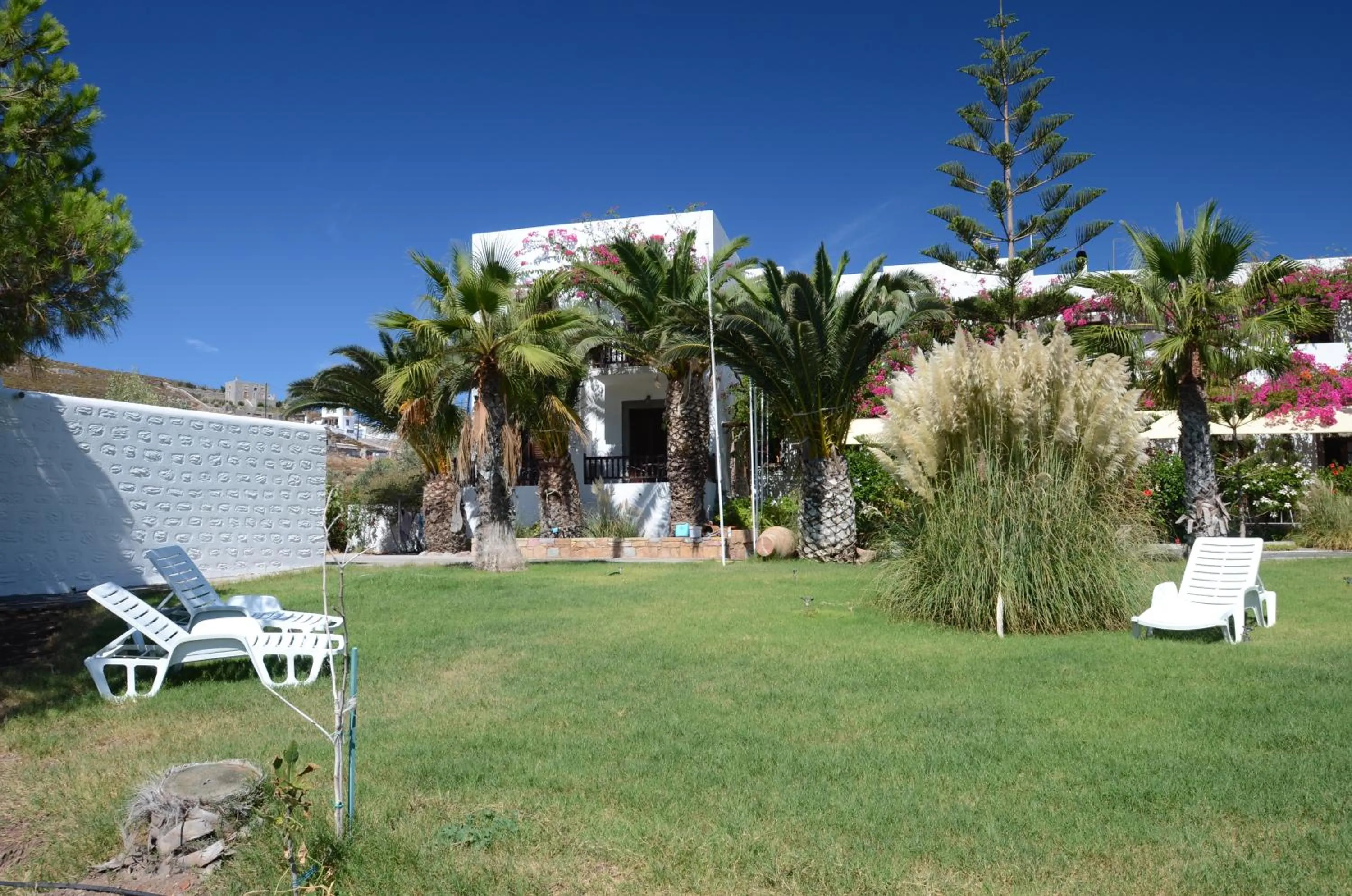 Garden in Asteri Hotel