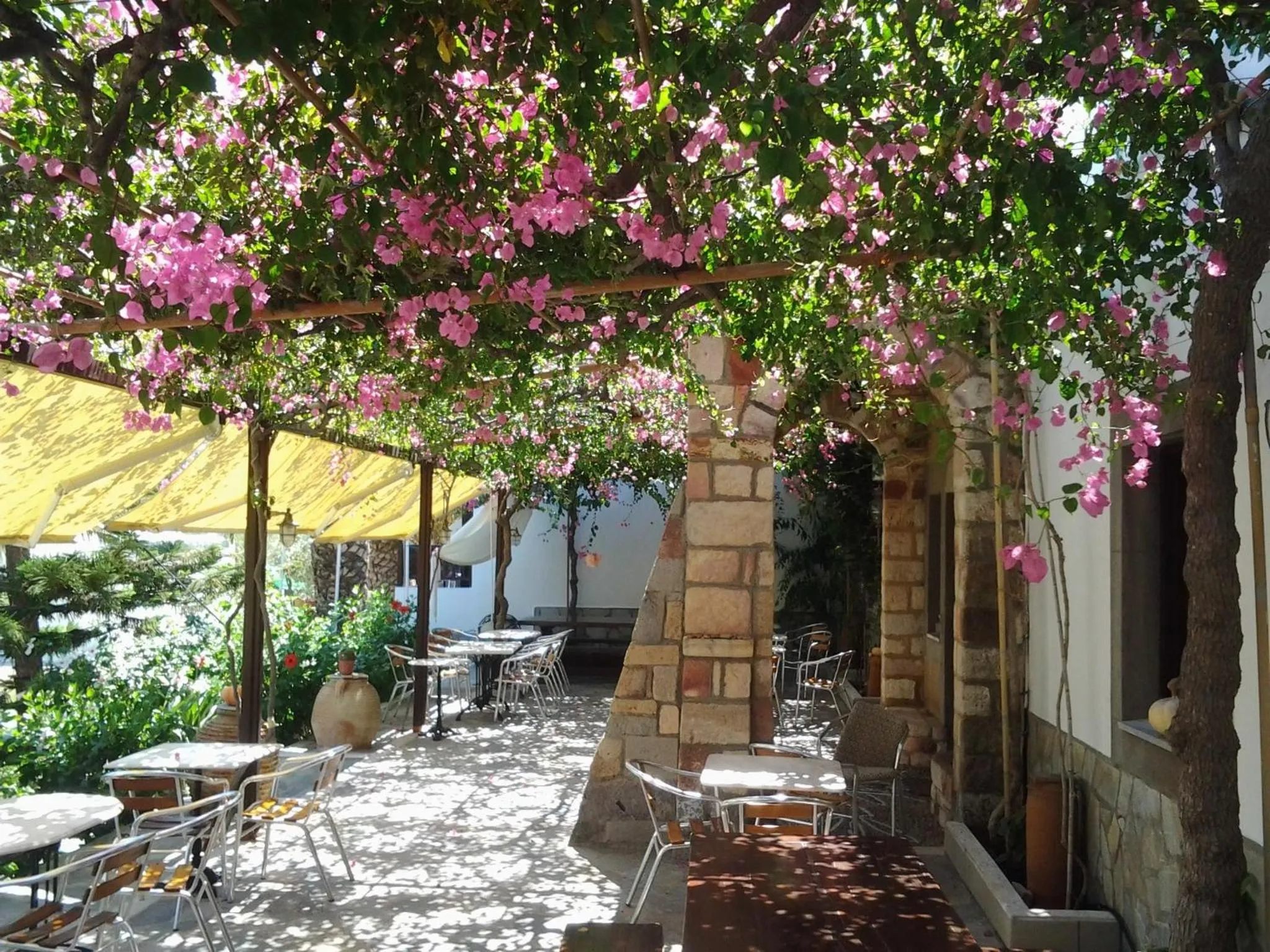 Balcony/Terrace in Asteri Hotel
