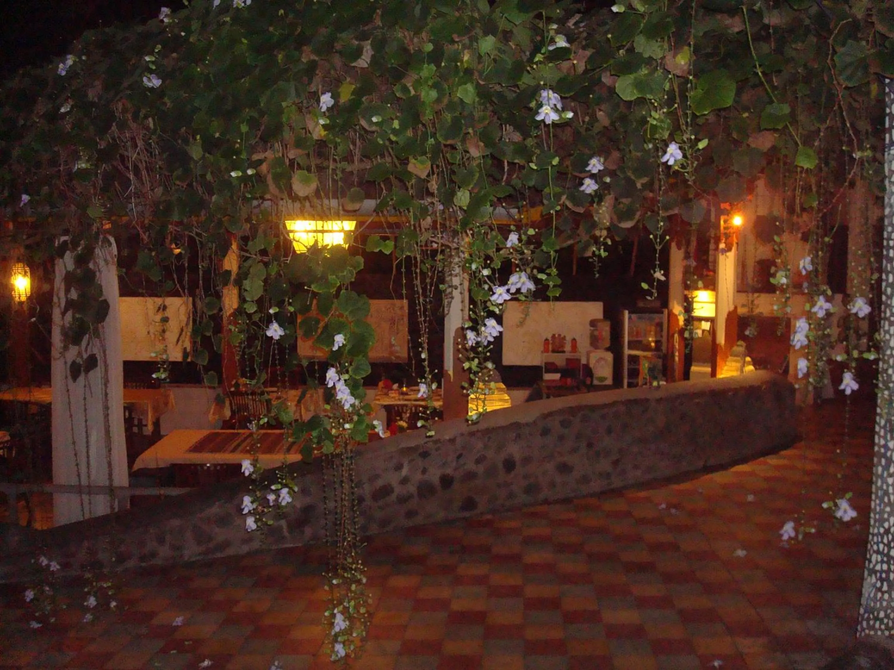 Restaurant/places to eat in Villa Arjuna