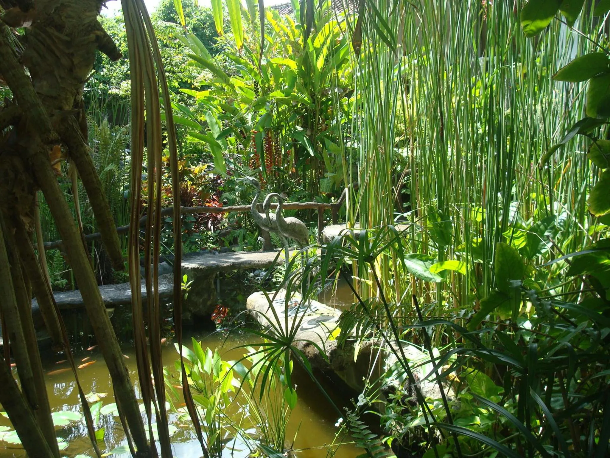 Garden in Villa Arjuna