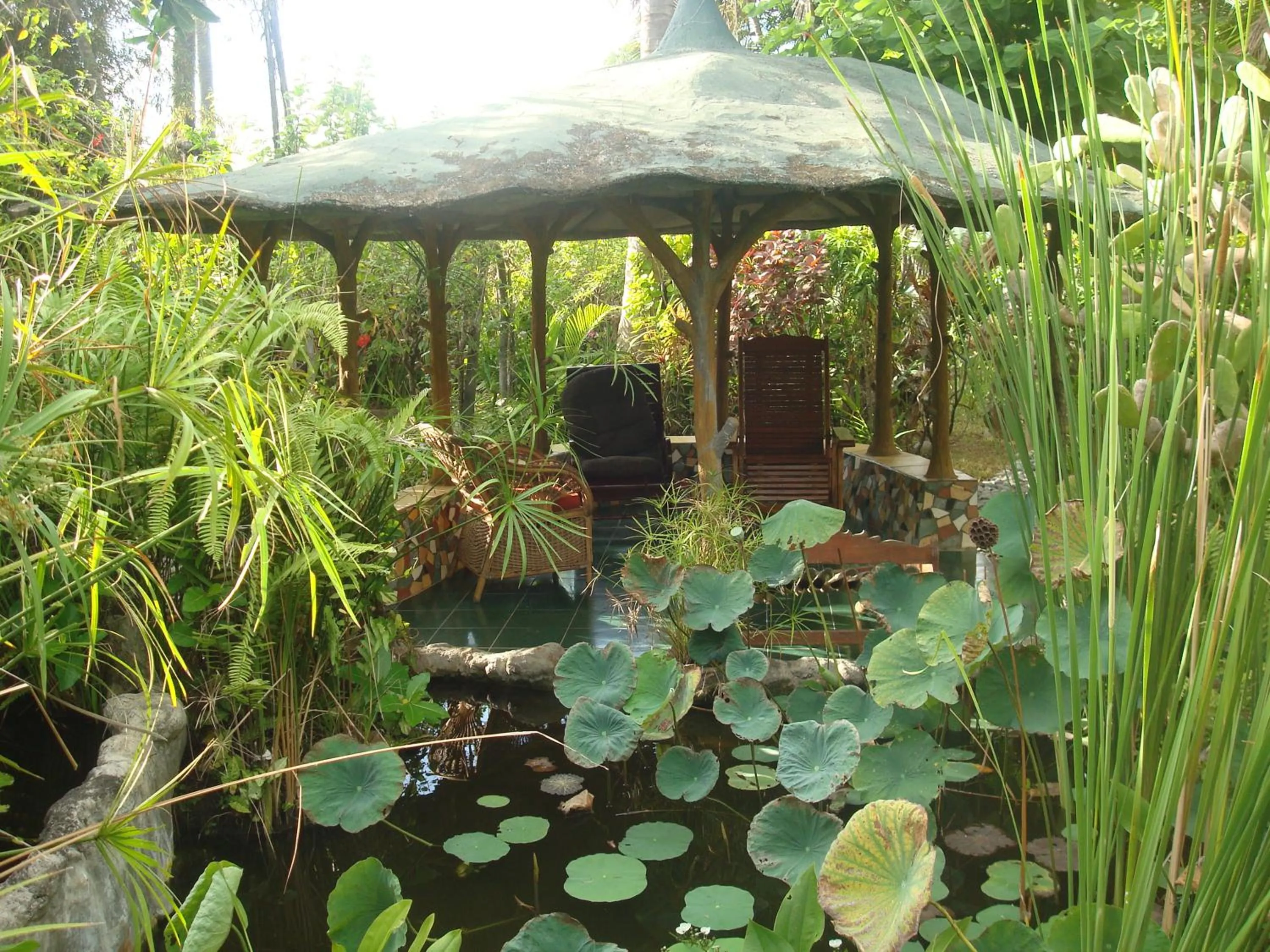 Natural landscape in Villa Arjuna