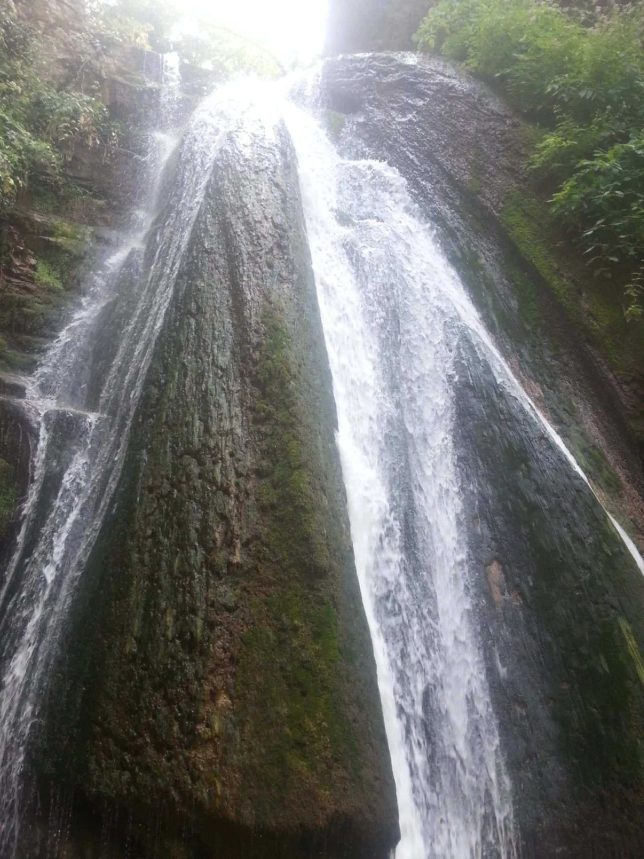 Natural landscape in 4-you Residence