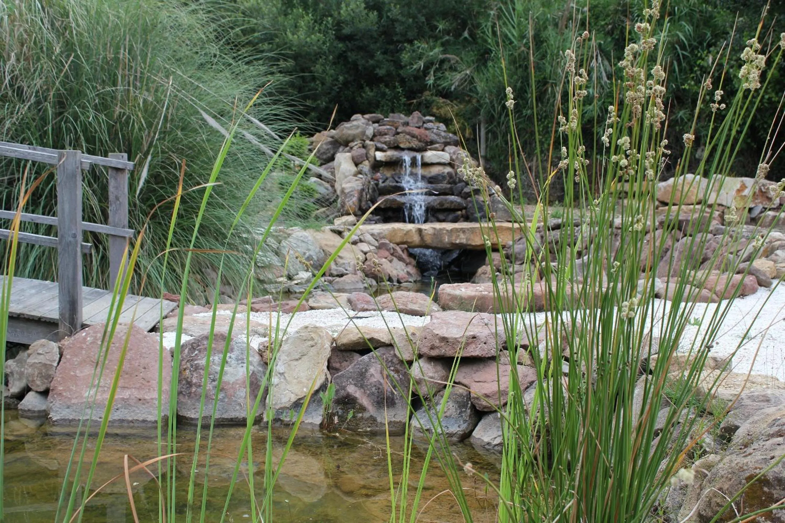 Garden in Quinta Japonesa