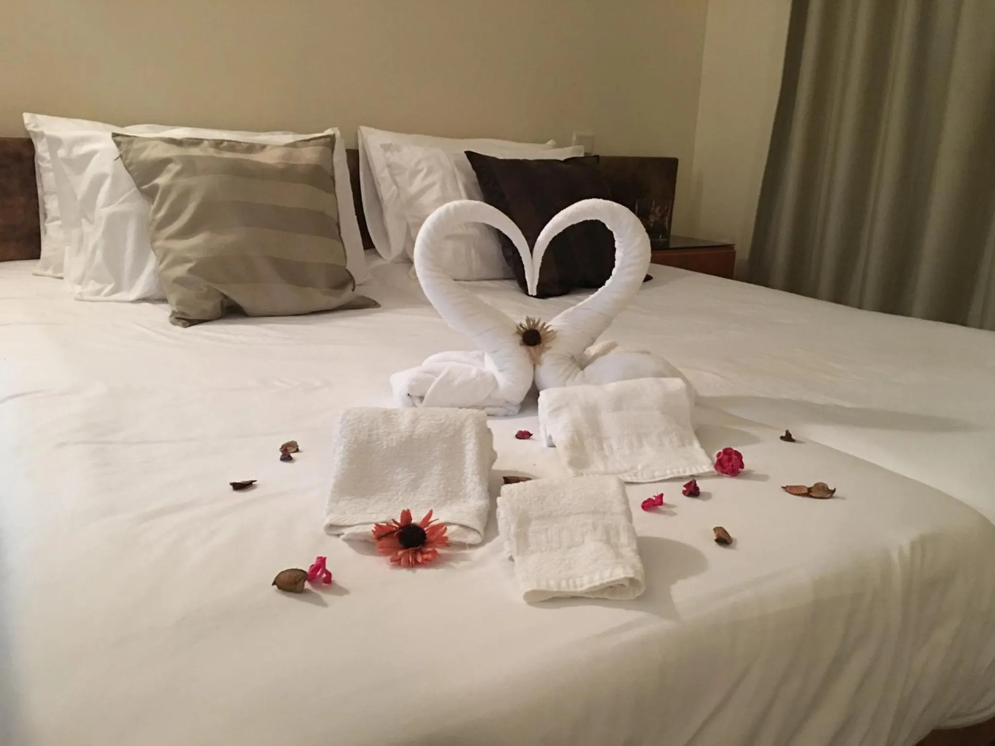 Fiel Chef Alojamento Local