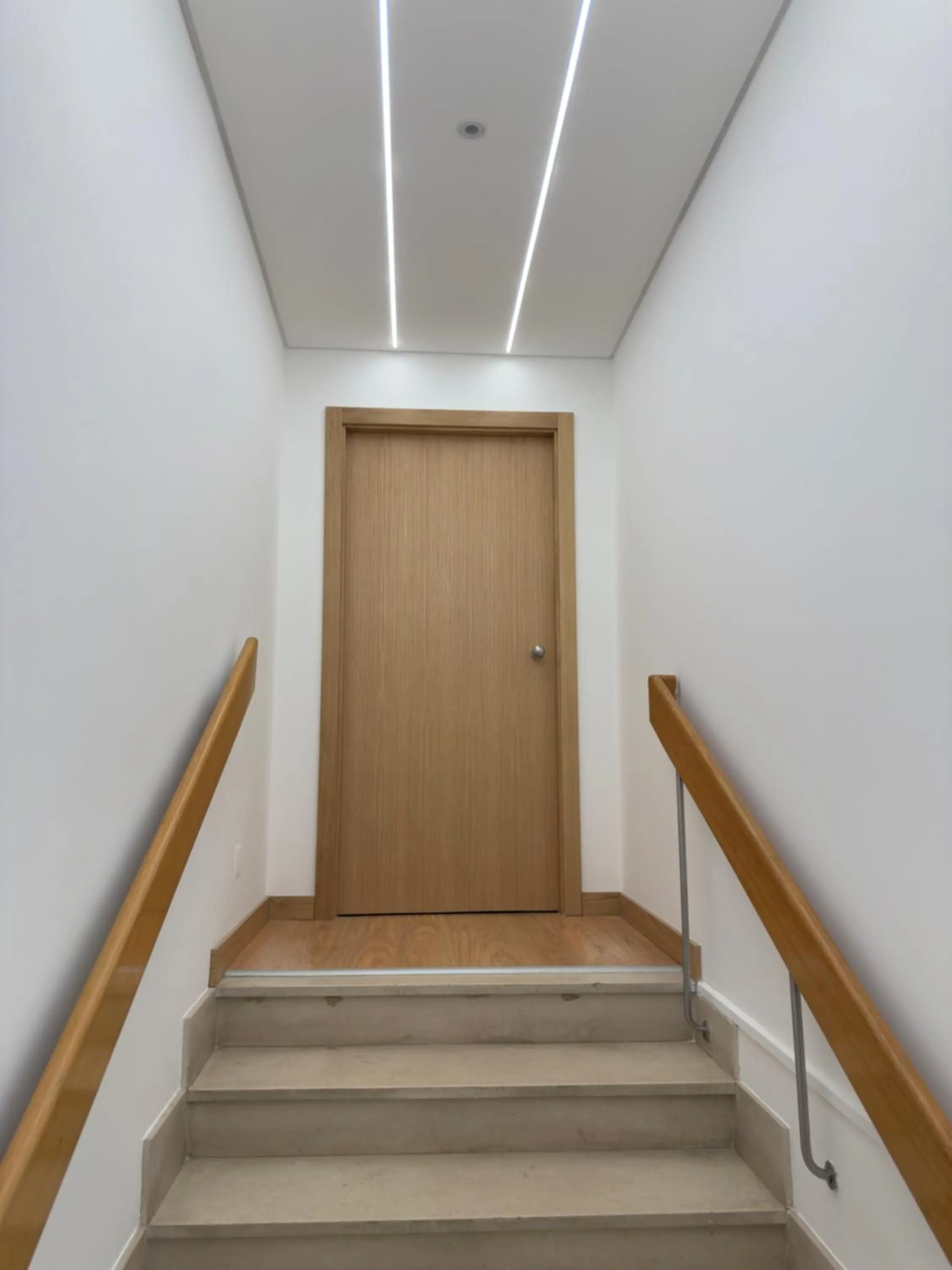 Area and facilities in Fiel Chef Alojamento Local