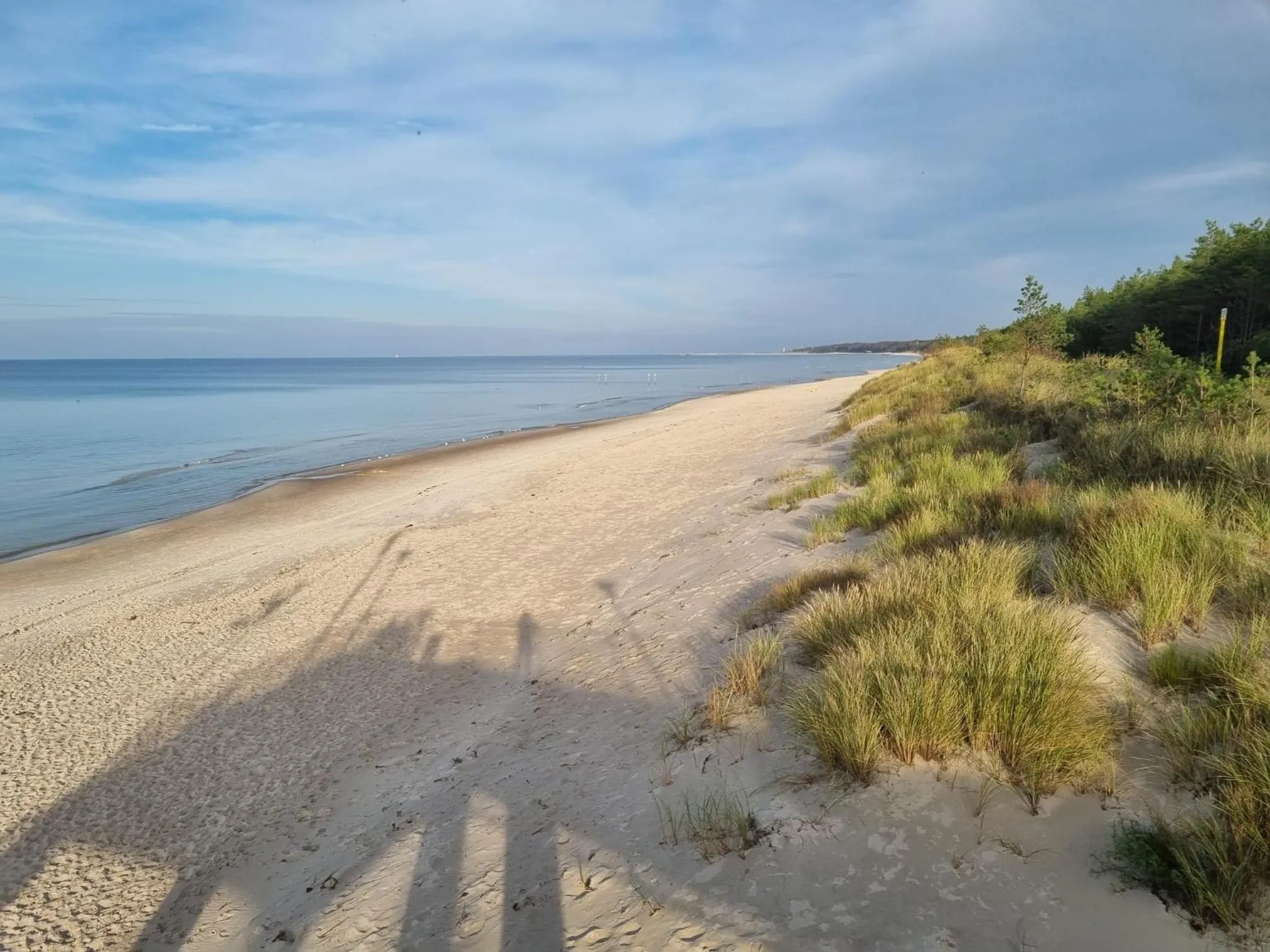 Pensjonat Dziki Zakątek