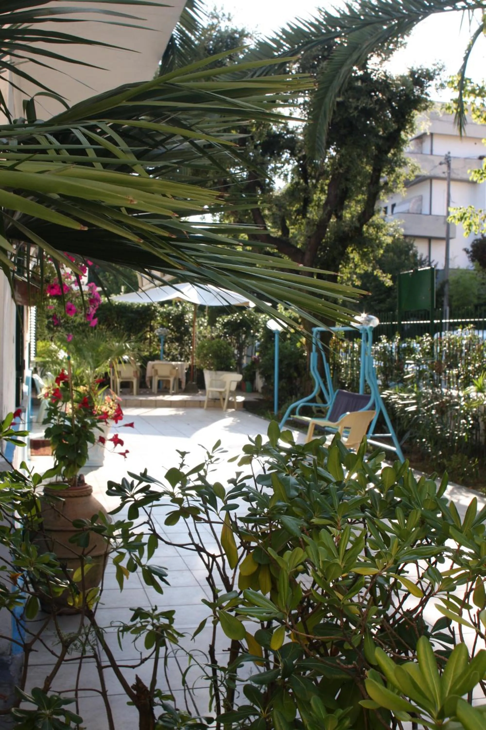 Garden in Hotel Ornella