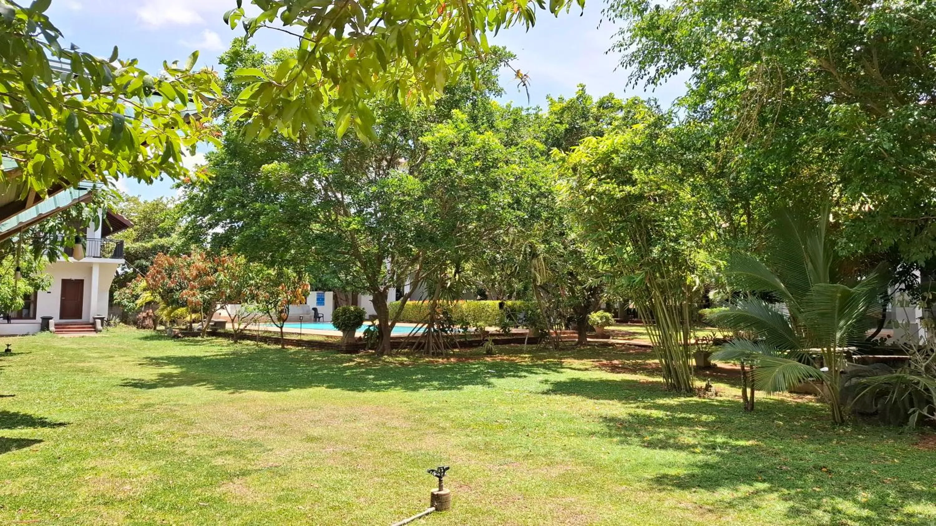 Garden in Four Points Resort - Anuradhapura