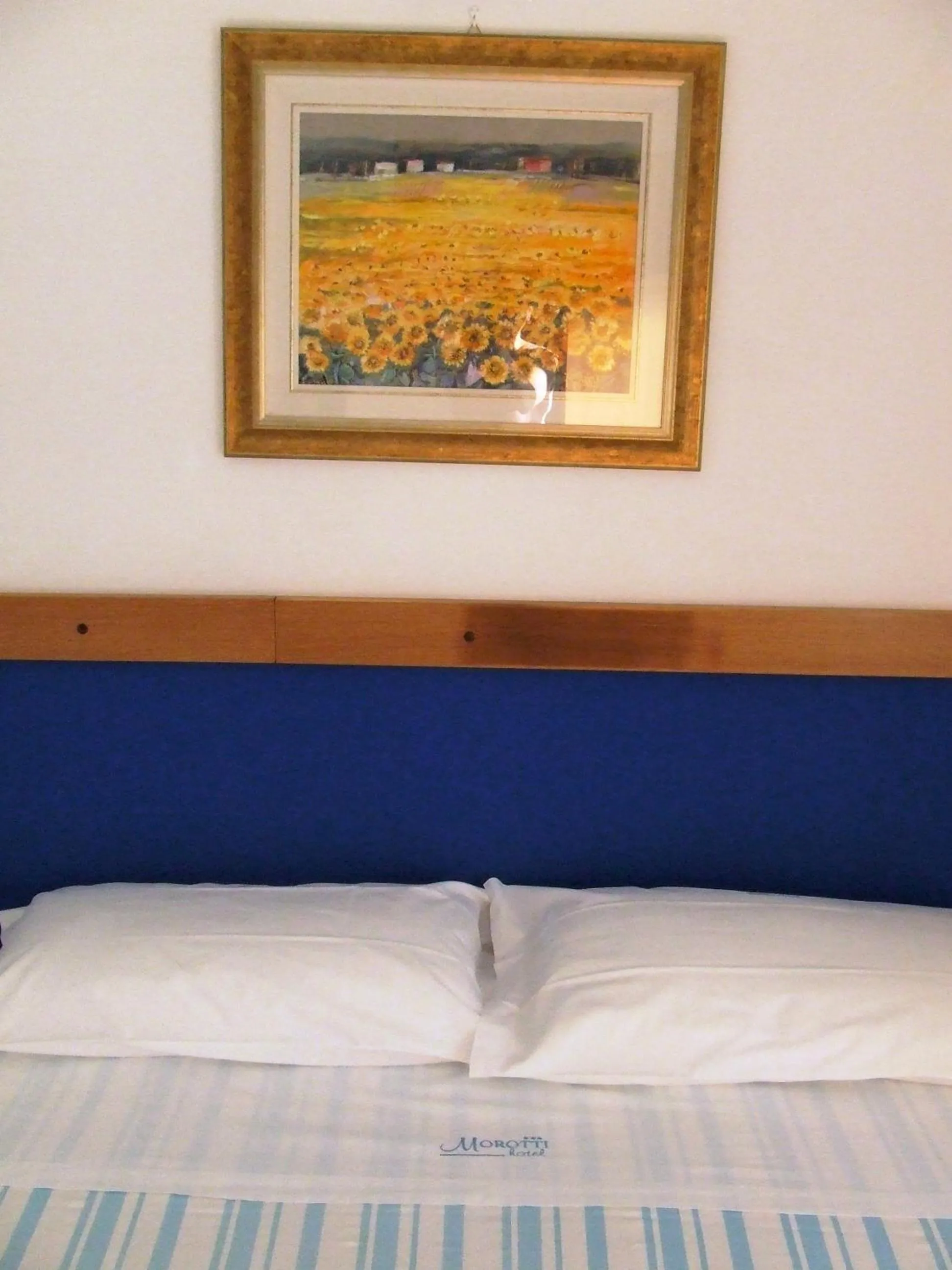 Photo of the whole room in Hotel Morotti