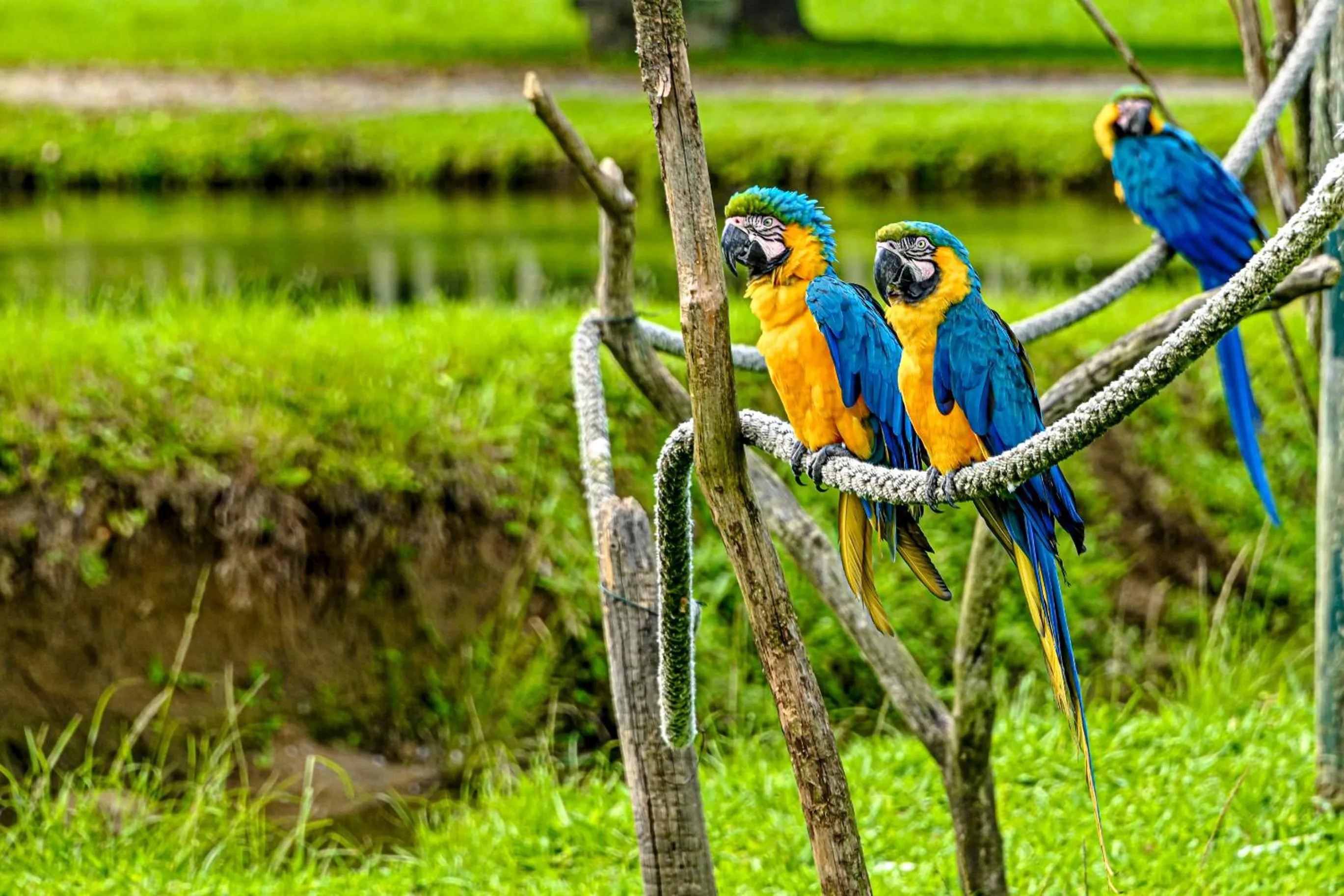 Natural landscape in Hotel Portobello Resort & Safari