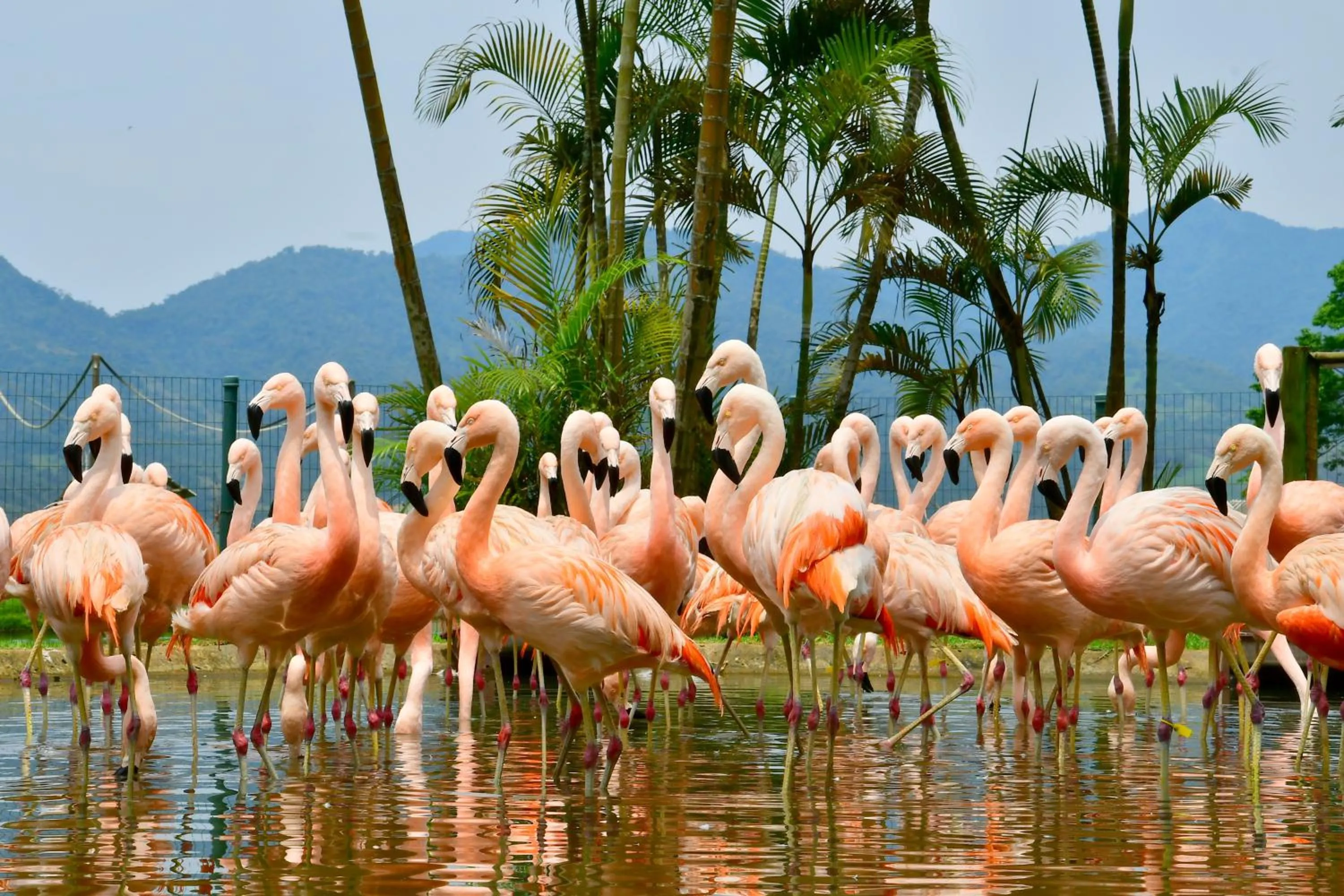 Natural landscape in Hotel Portobello Resort & Safari