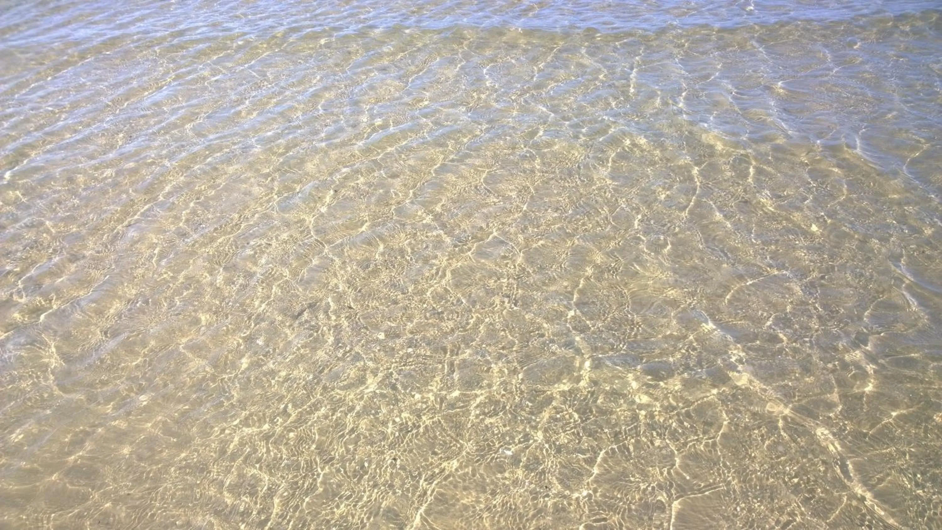 Beach in Hotel Canasta