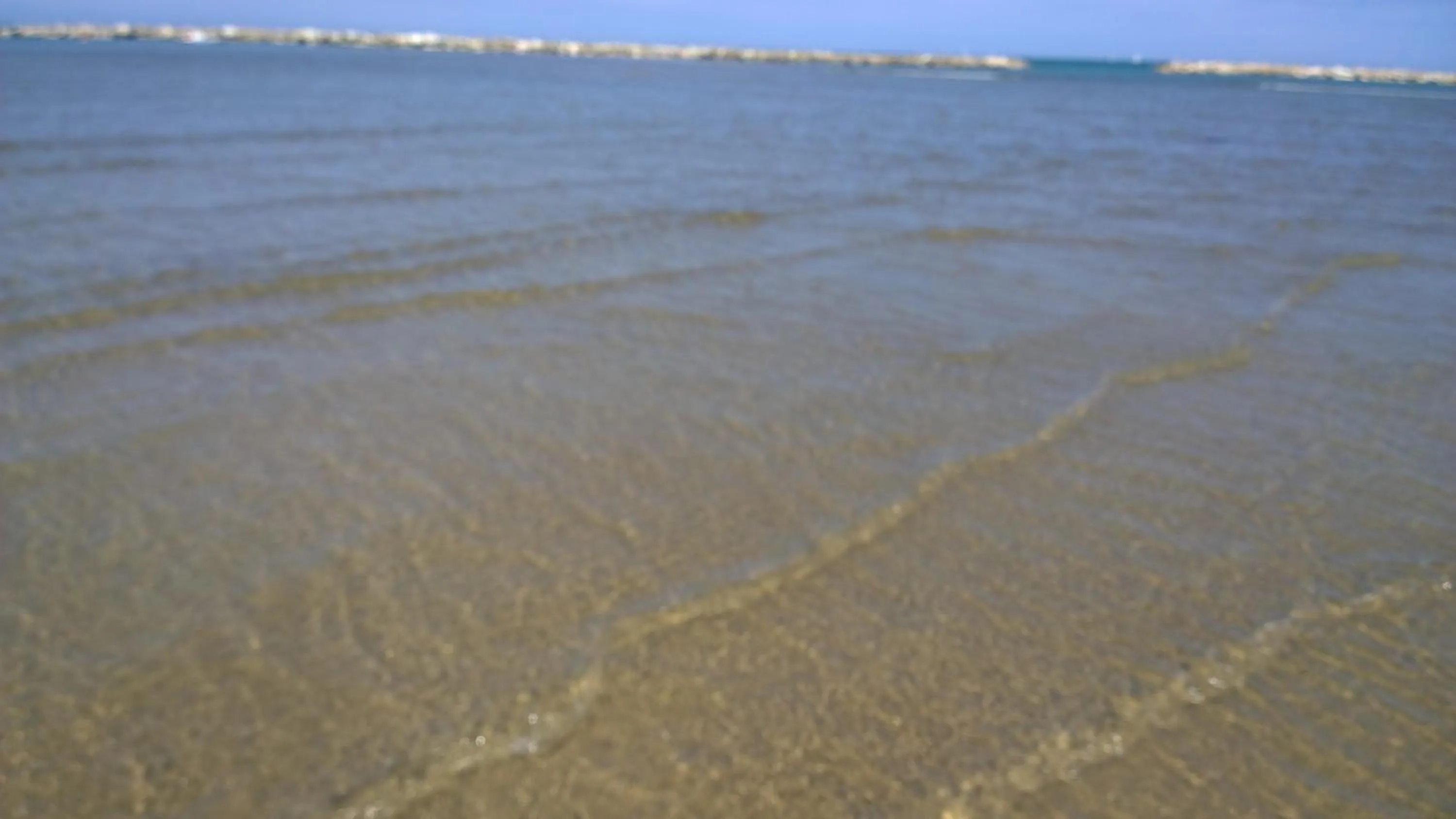 Beach in Hotel Canasta