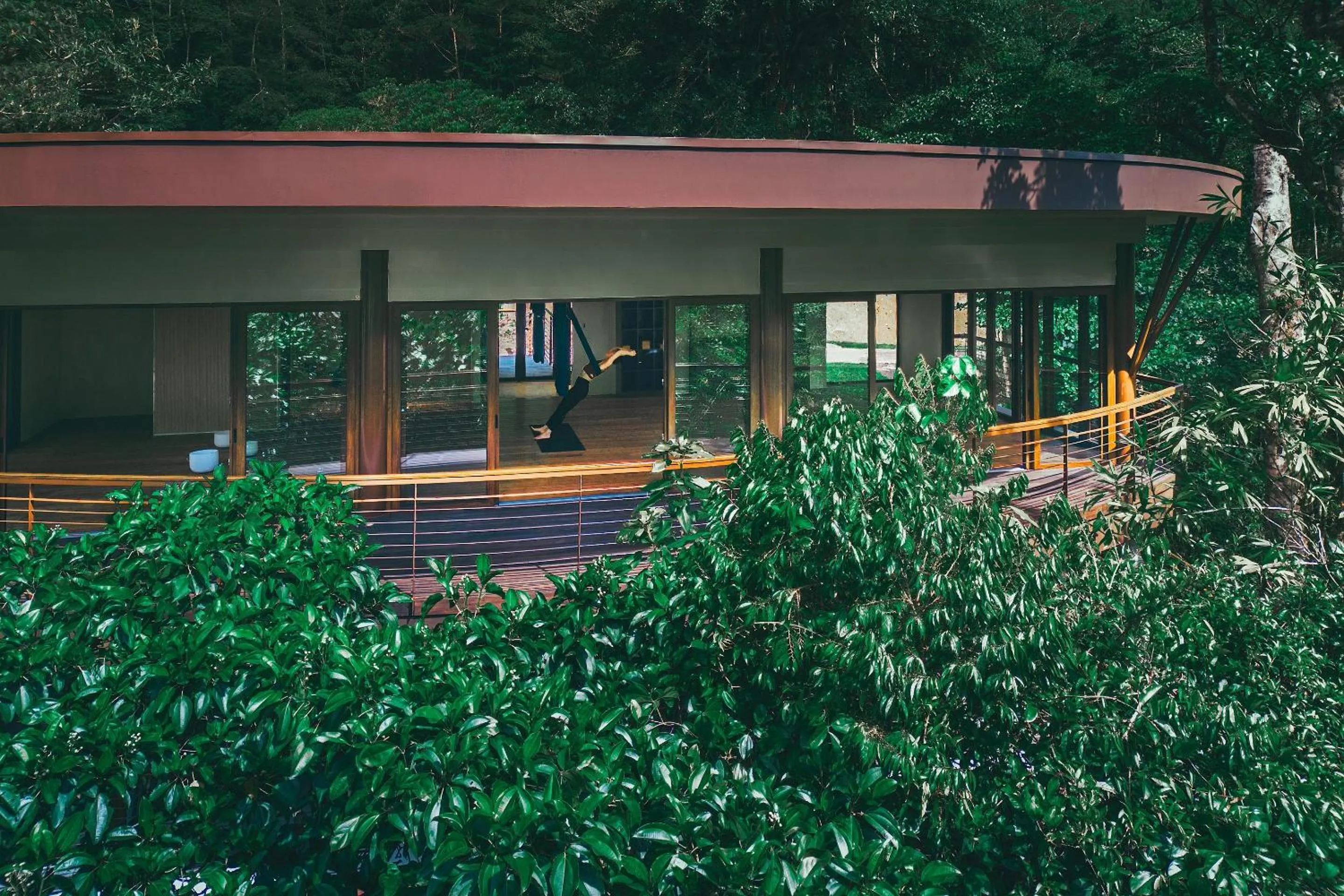 Garden in El Silencio Lodge & Spa Costa Rica