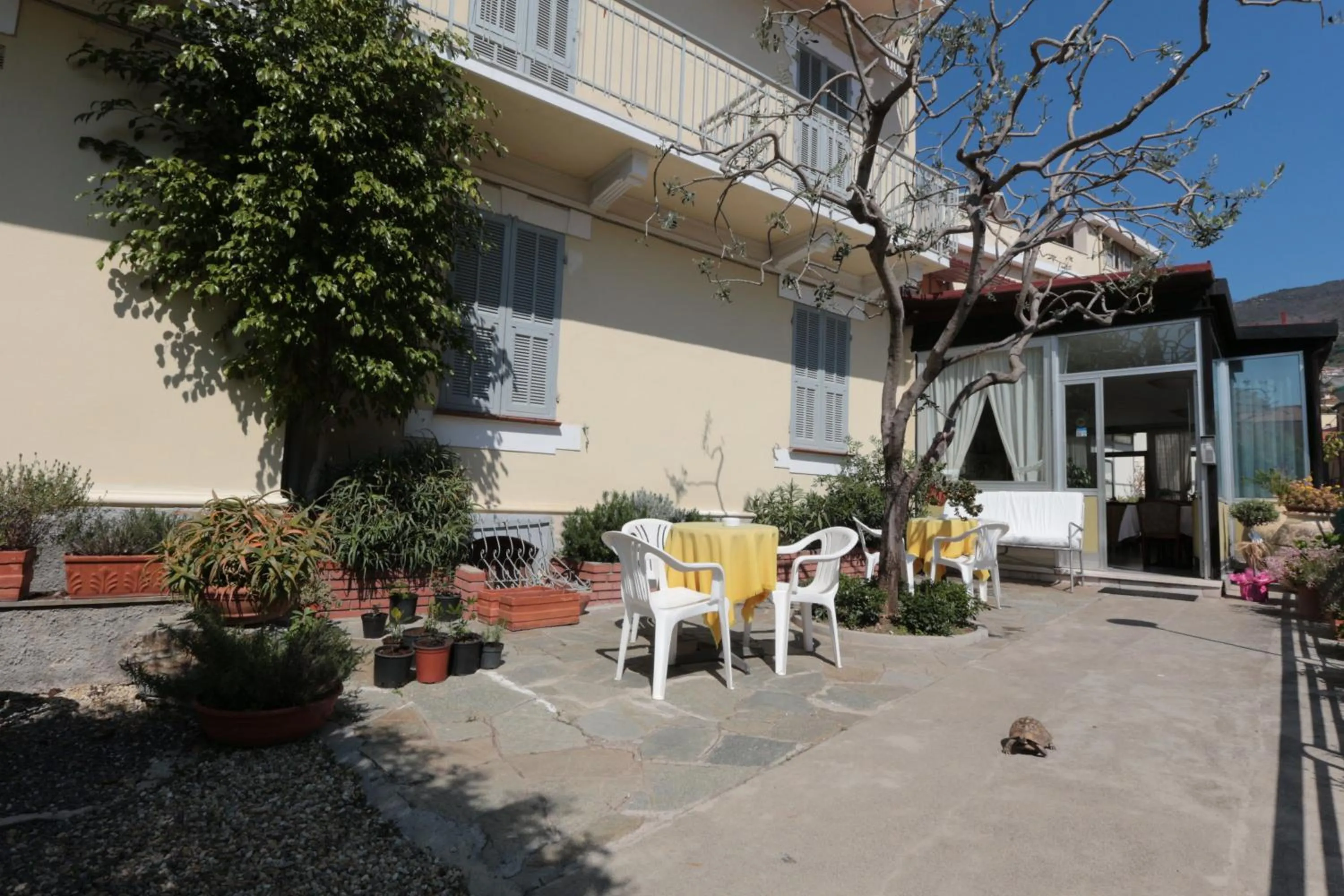 Patio in Hotel Villa Amelia