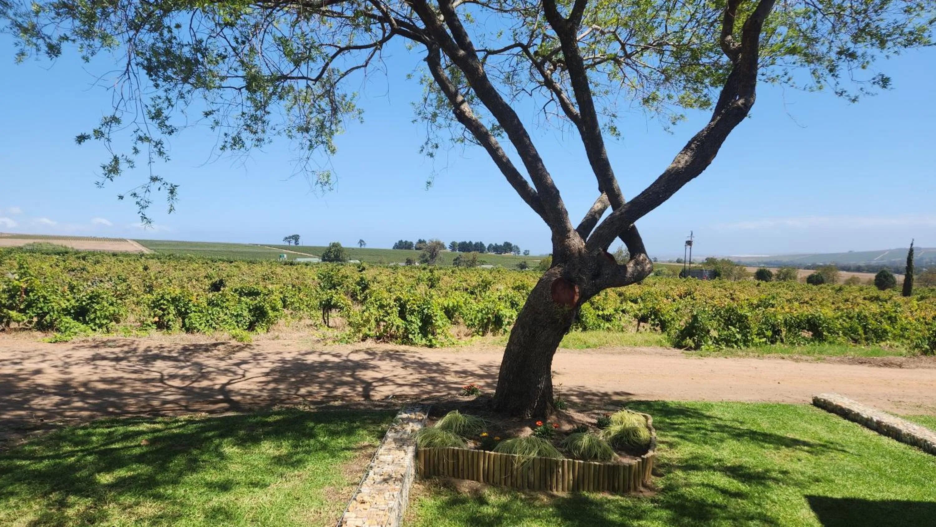 View (from property/room) in Eikendal Lodge