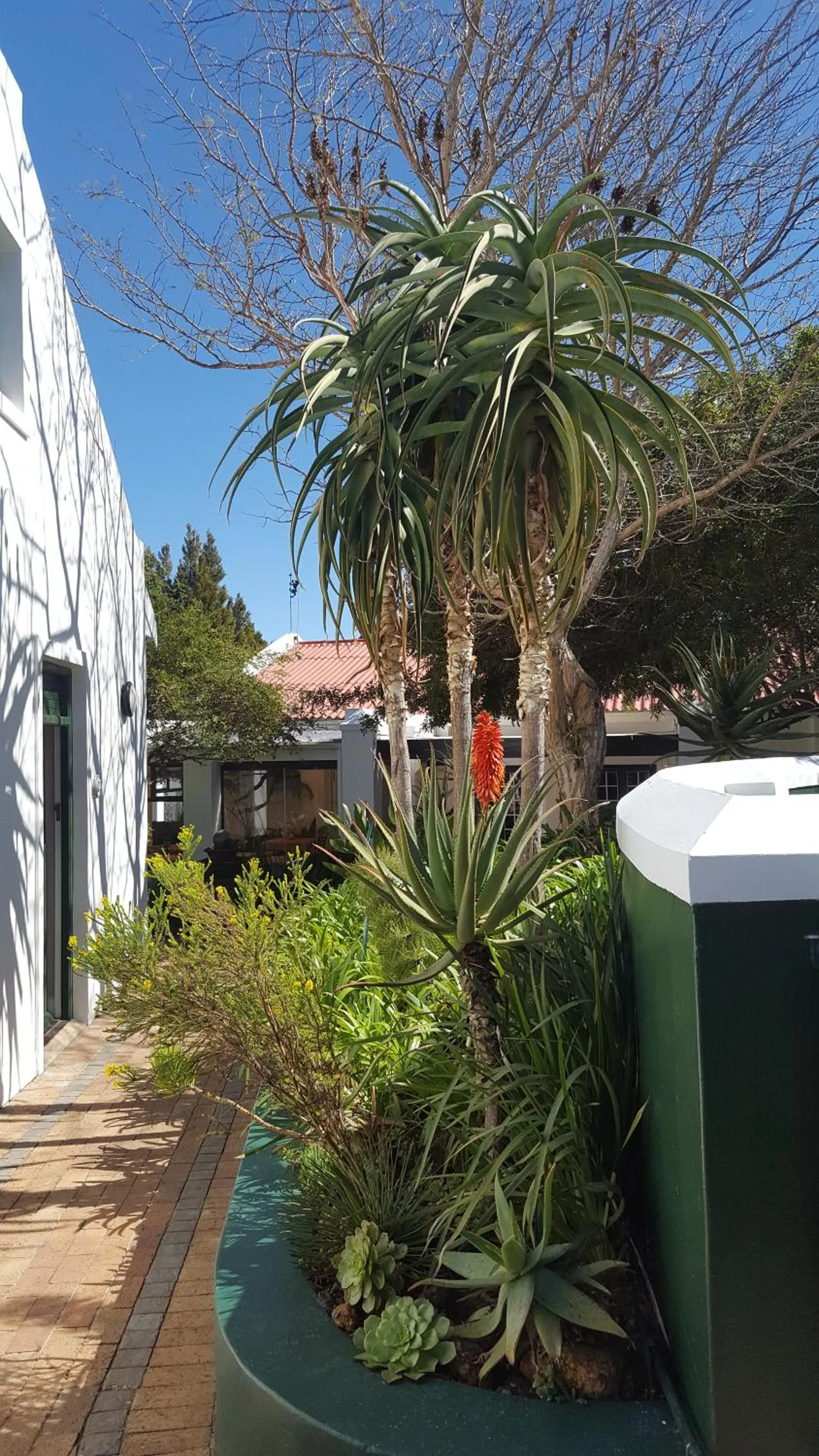 Garden view in Eikendal Lodge